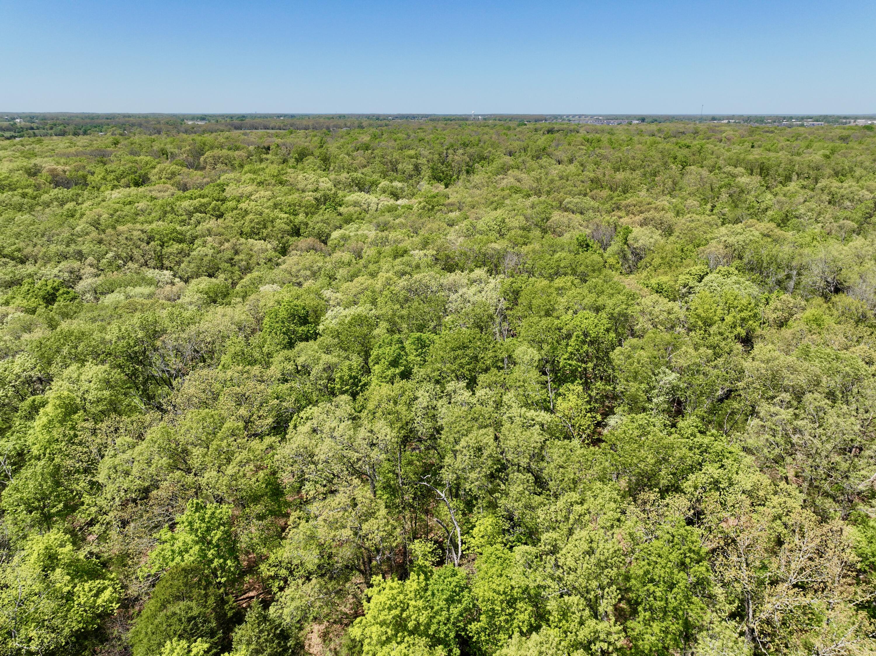 Photo 14 - Land for sale – 000  Corner Road  Rogersville, MO
