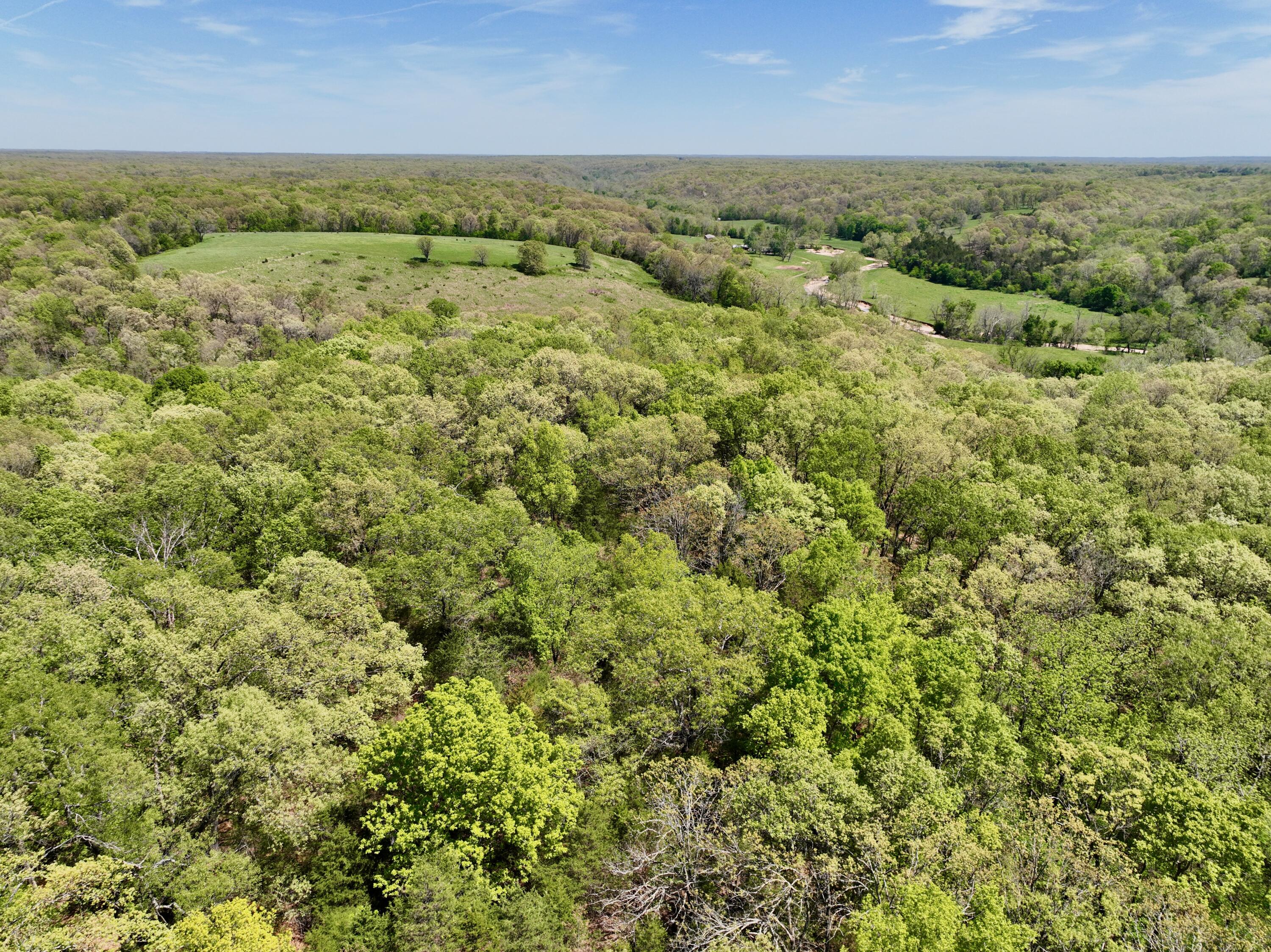 Photo 12 - Land for sale – 000  Corner Road  Rogersville, MO