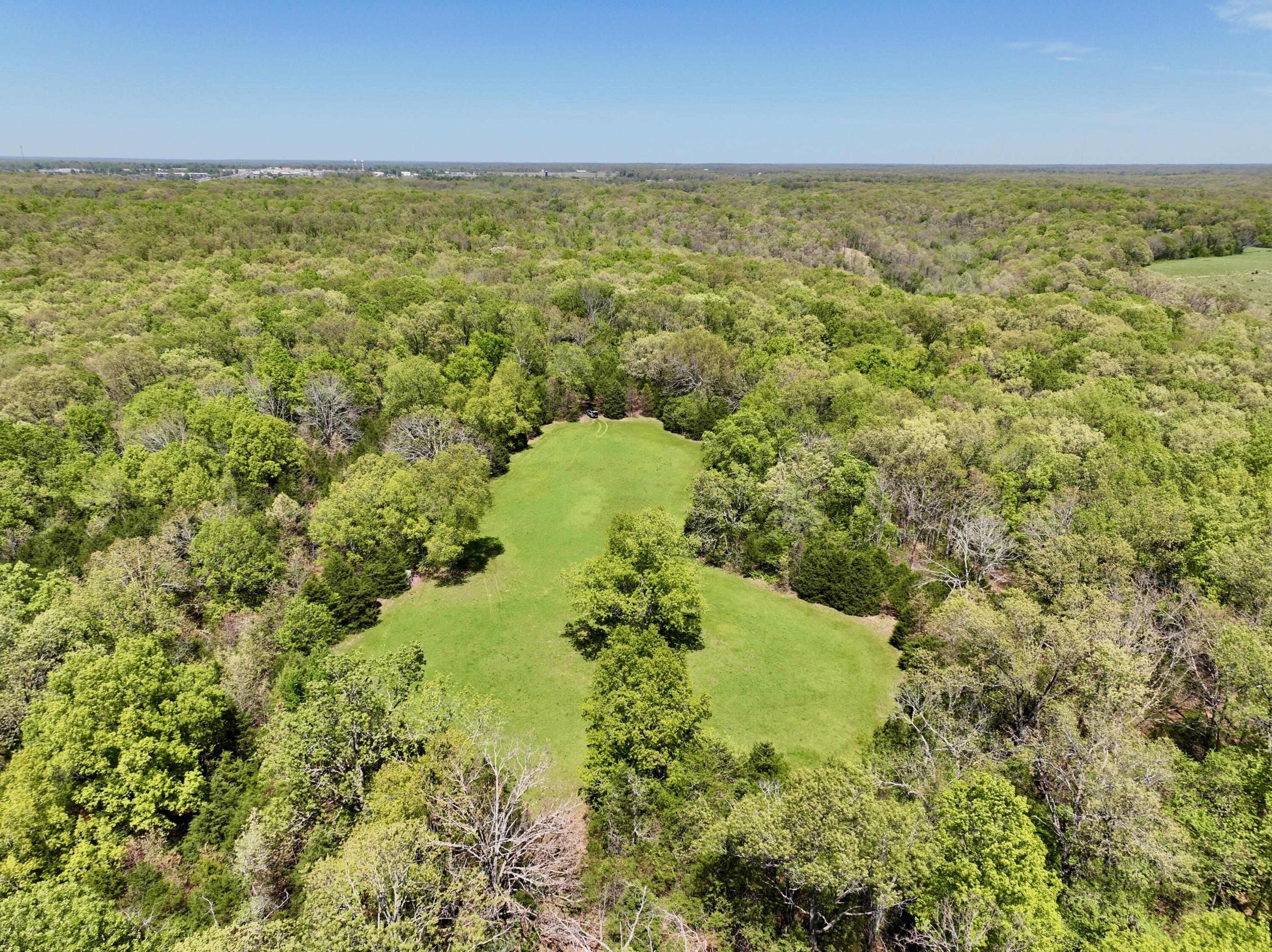 Photo 18 - Land for sale – 000  Corner Road  Rogersville, MO