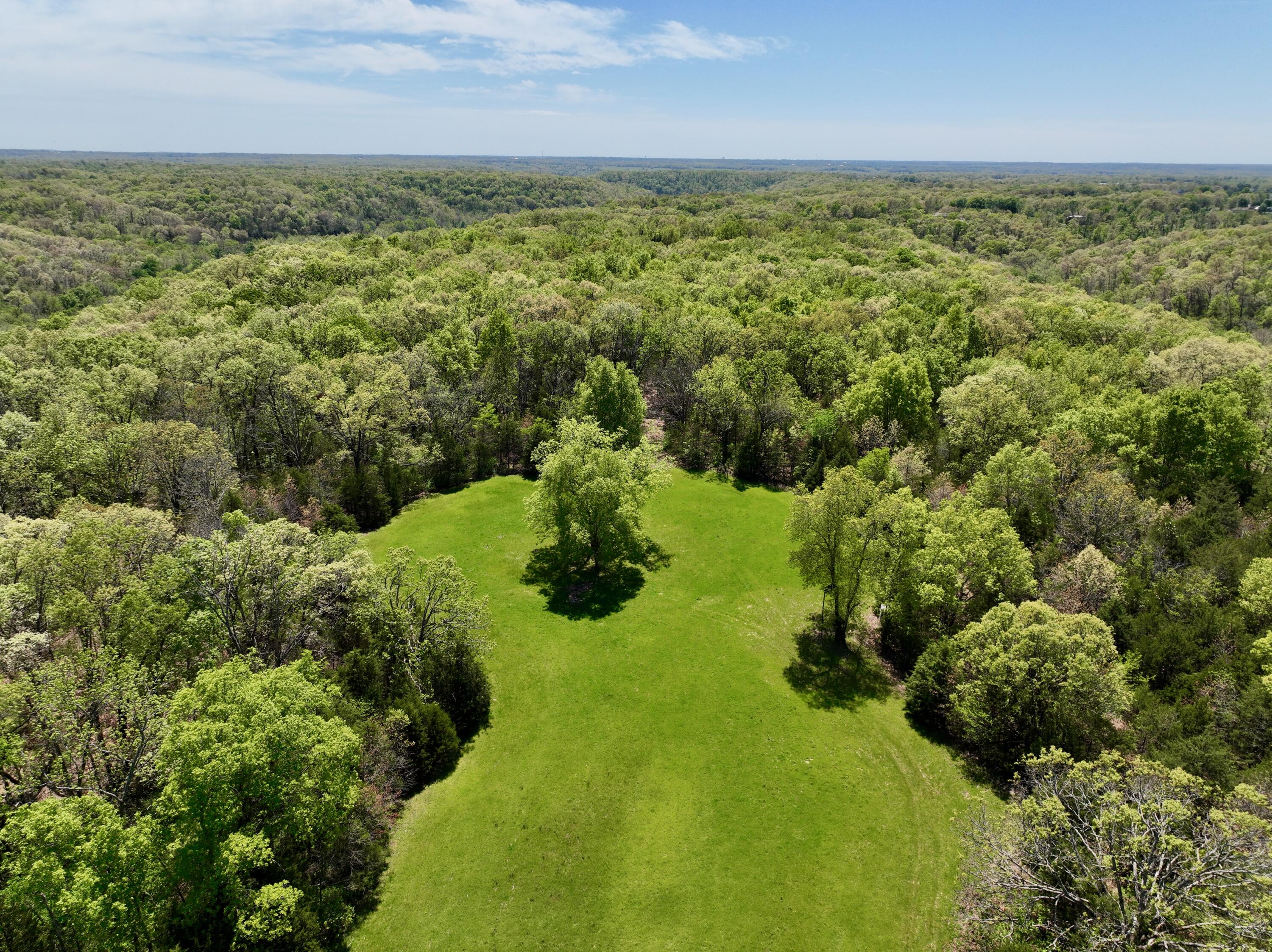Land for sale – 000  Corner Road  Rogersville, MO