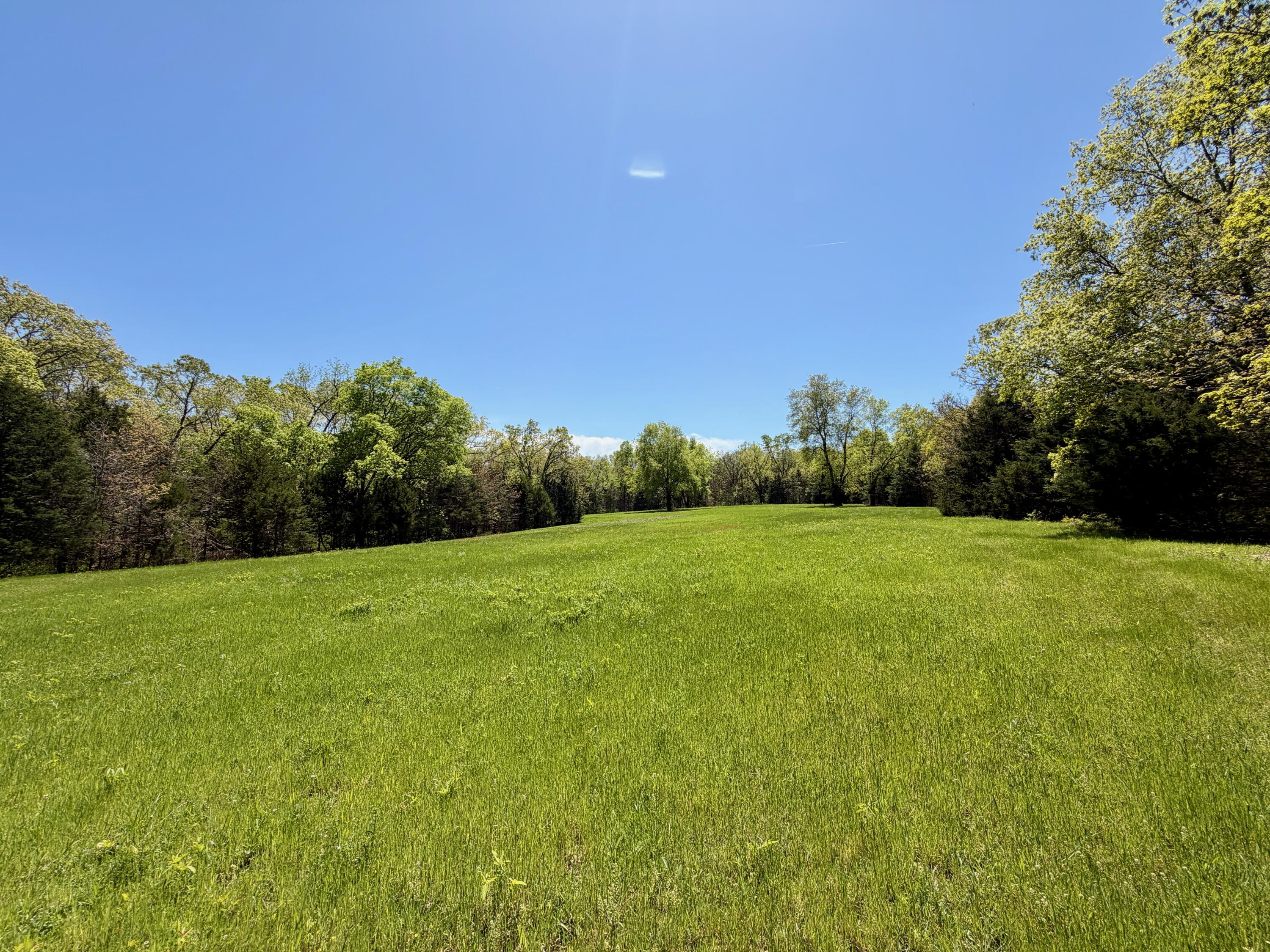Photo 5 - Land for sale – 000  Corner Road  Rogersville, MO