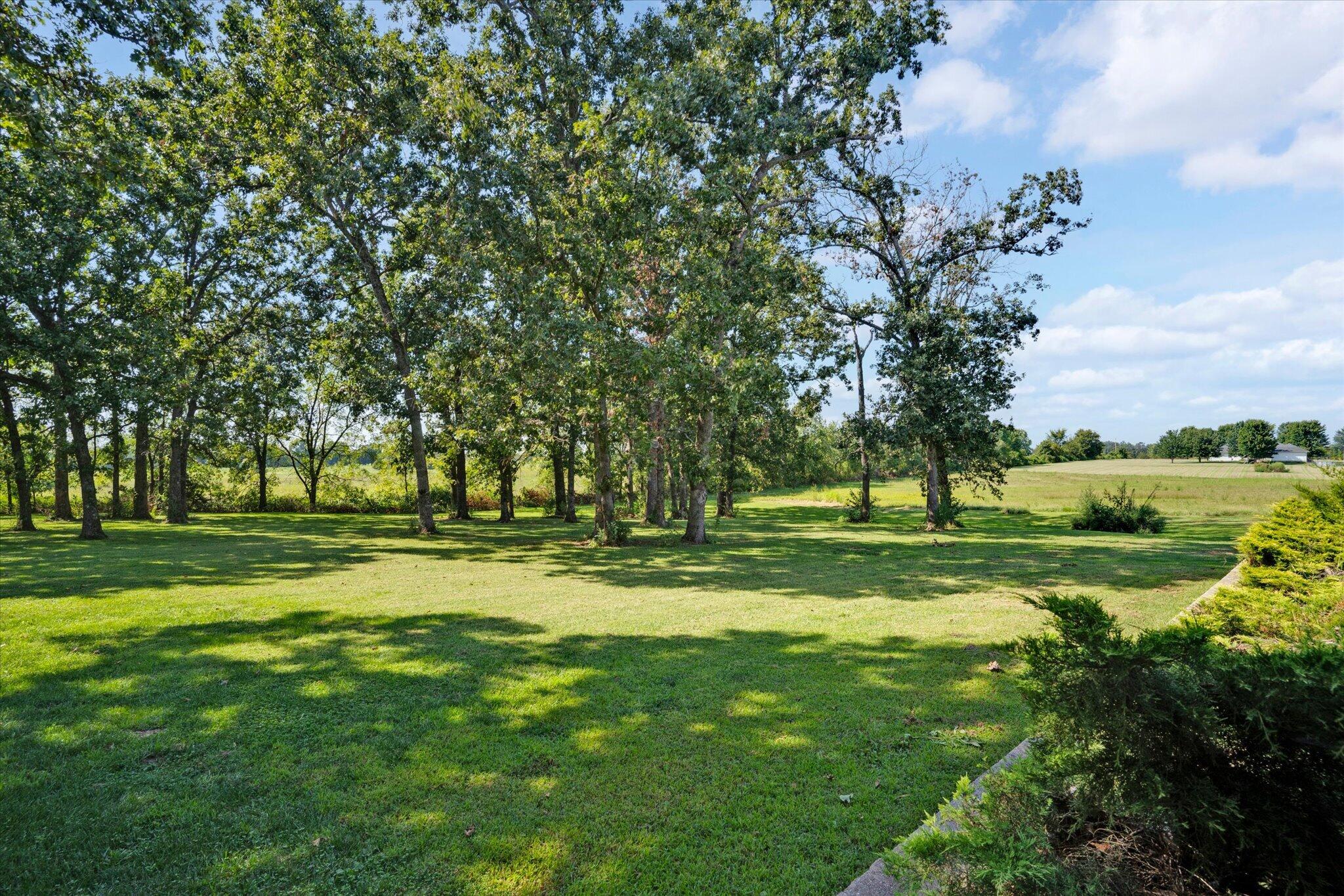 Photo 51 - Residential for sale – 203  Reunion Acres   Rogersville, MO
