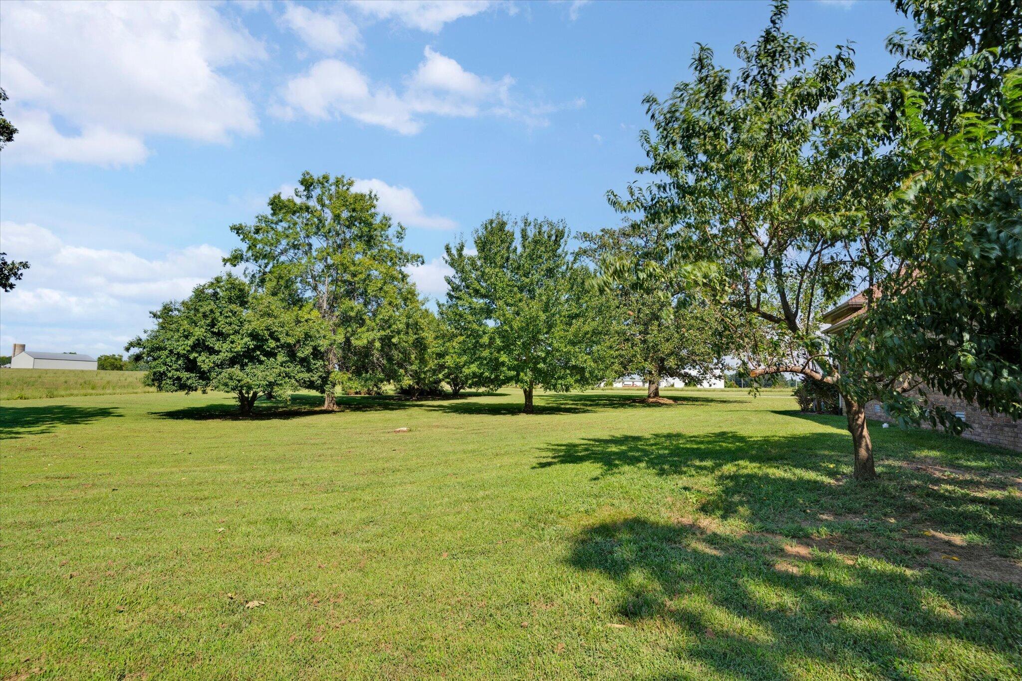 Photo 52 - Residential for sale – 203  Reunion Acres   Rogersville, MO