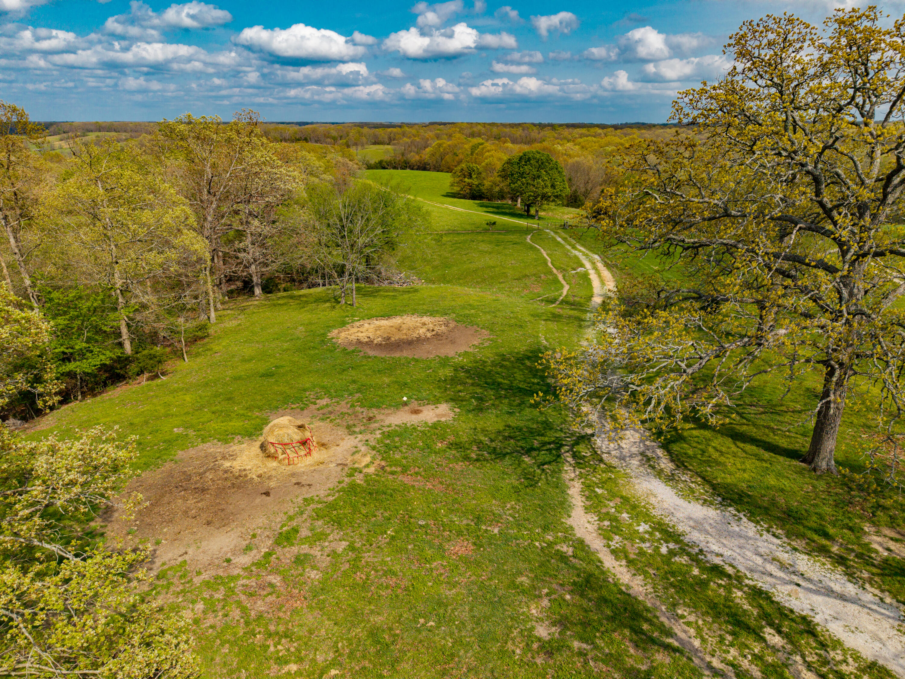 Photo 15 - Land for sale – 382  Iorg Lane  Sparta, MO