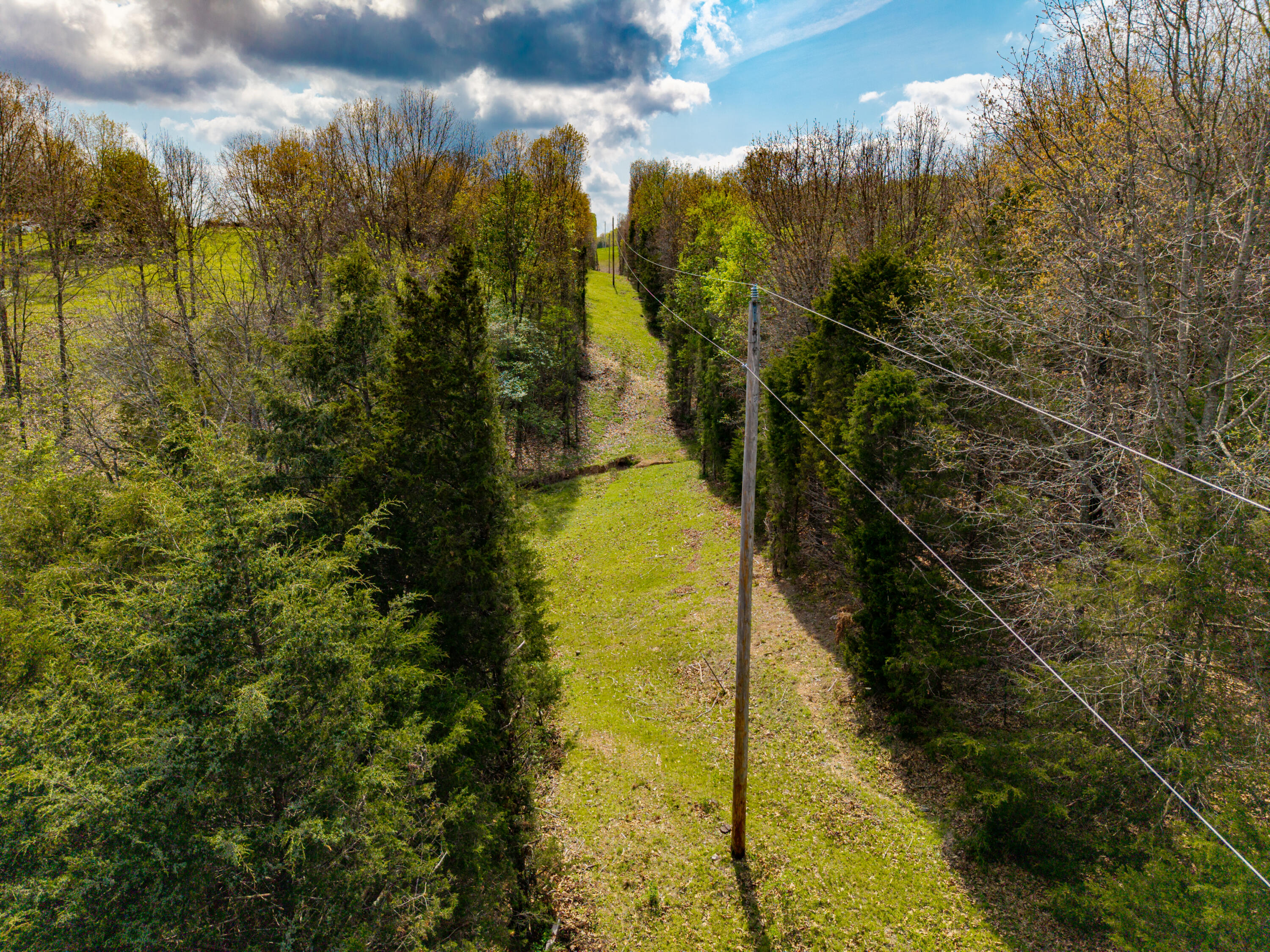 Photo 8 - Land for sale – 382  Iorg Lane  Sparta, MO