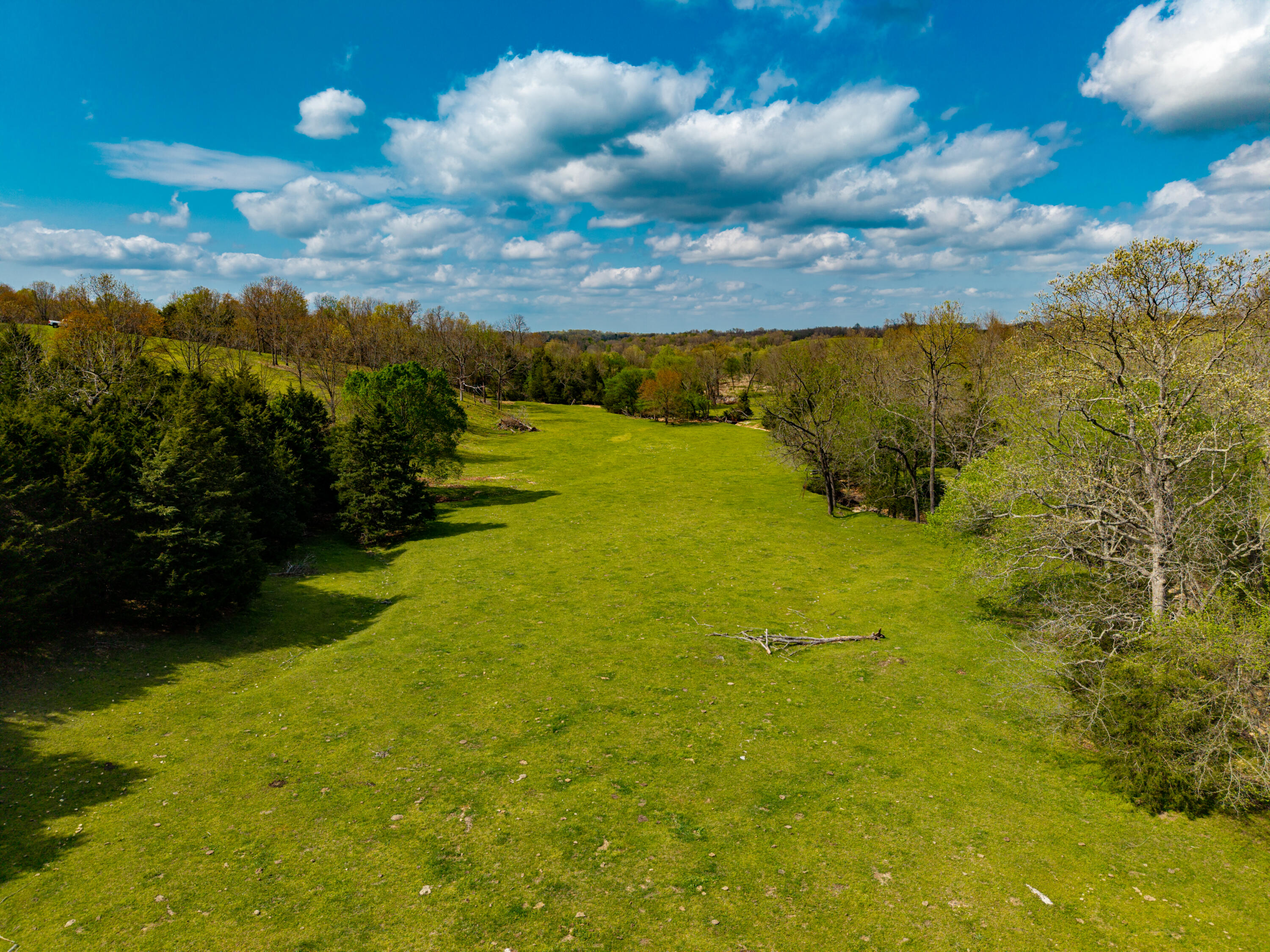 Photo 24 - Land for sale – 382  Iorg Lane  Sparta, MO