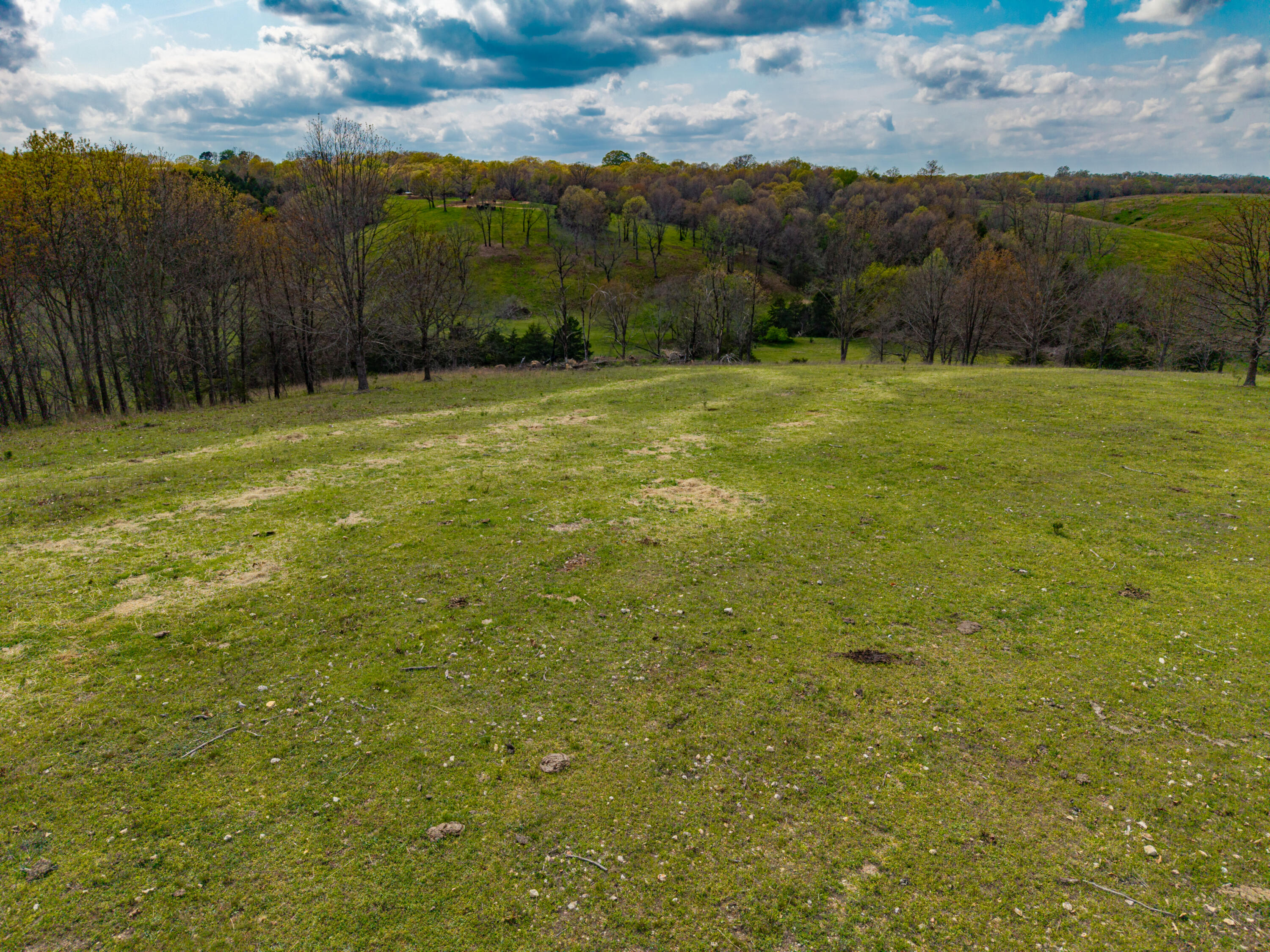Photo 26 - Land for sale – 382  Iorg Lane  Sparta, MO