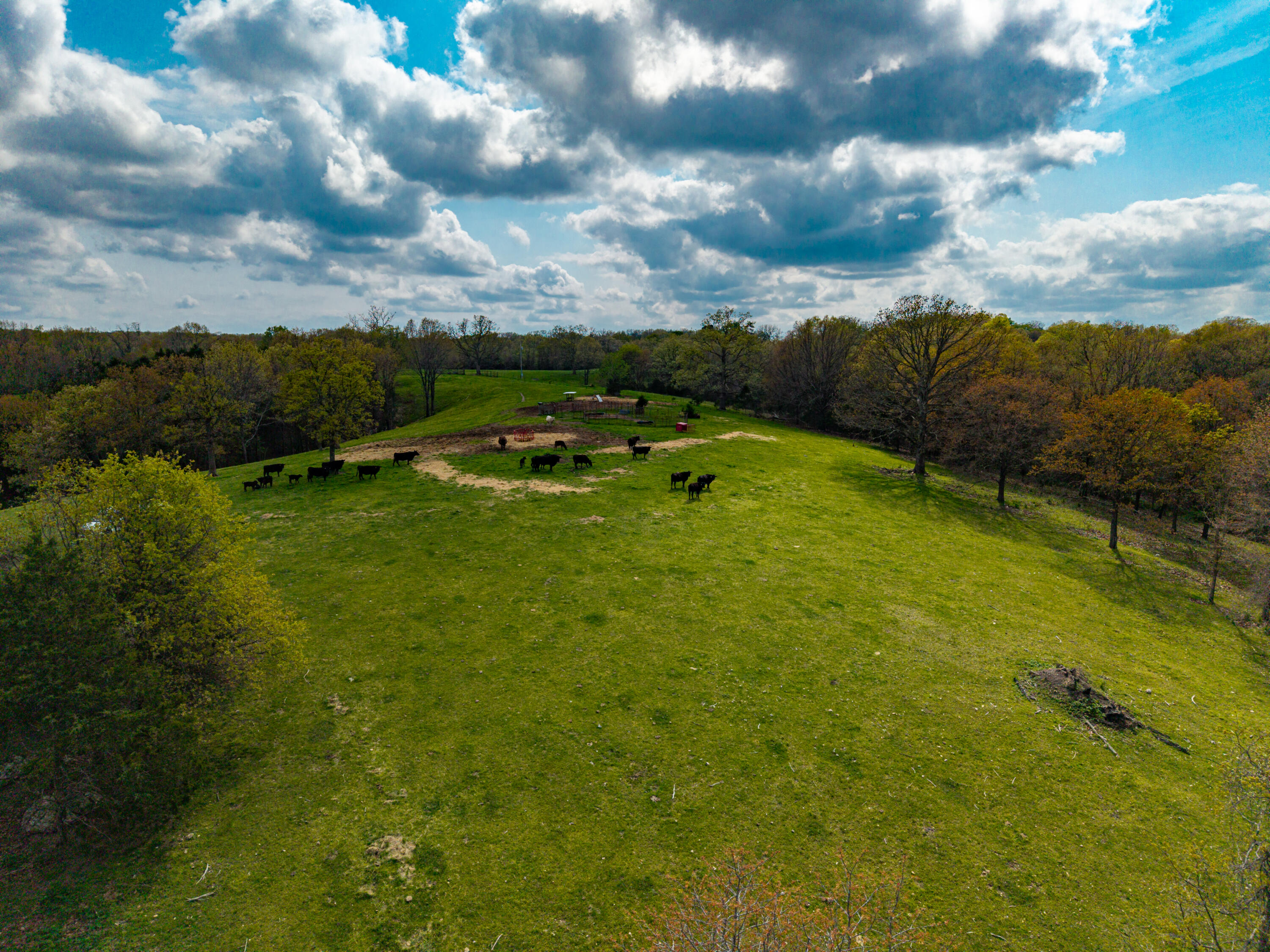 Photo 9 - Land for sale – 382  Iorg Lane  Sparta, MO