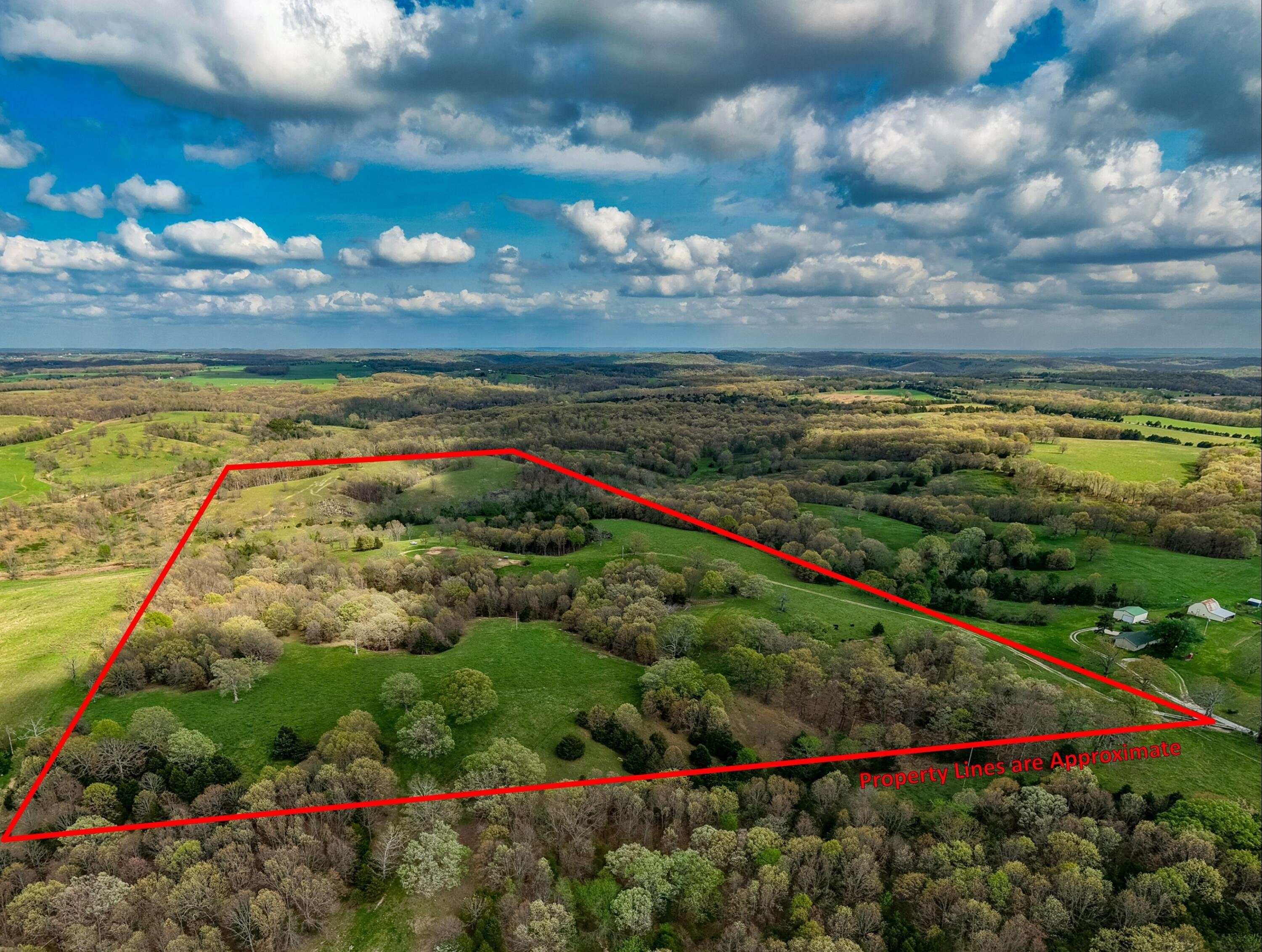 Photo 17 - Land for sale – 382  Iorg Lane  Sparta, MO