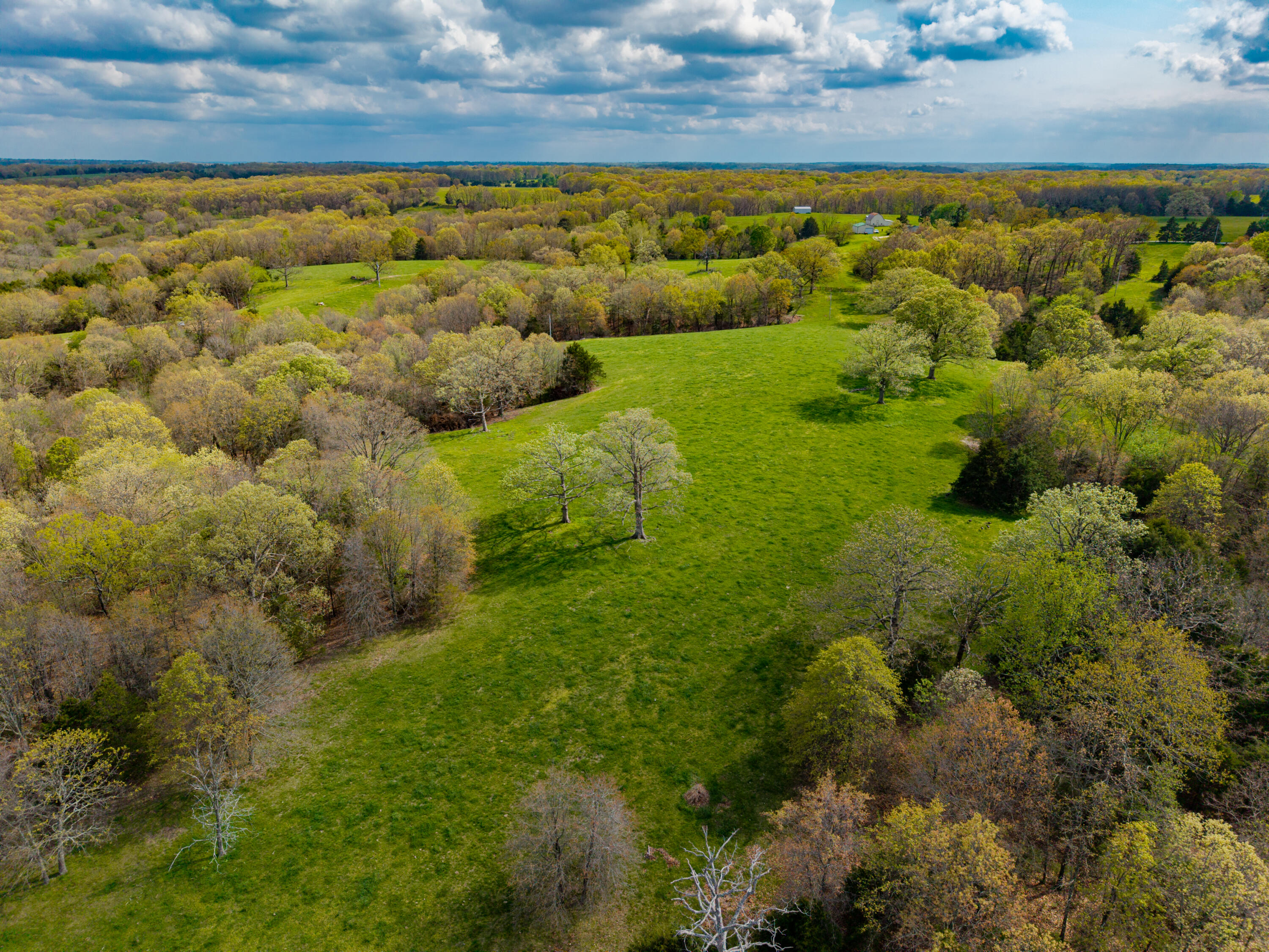 Photo 16 - Land for sale – 382  Iorg Lane  Sparta, MO