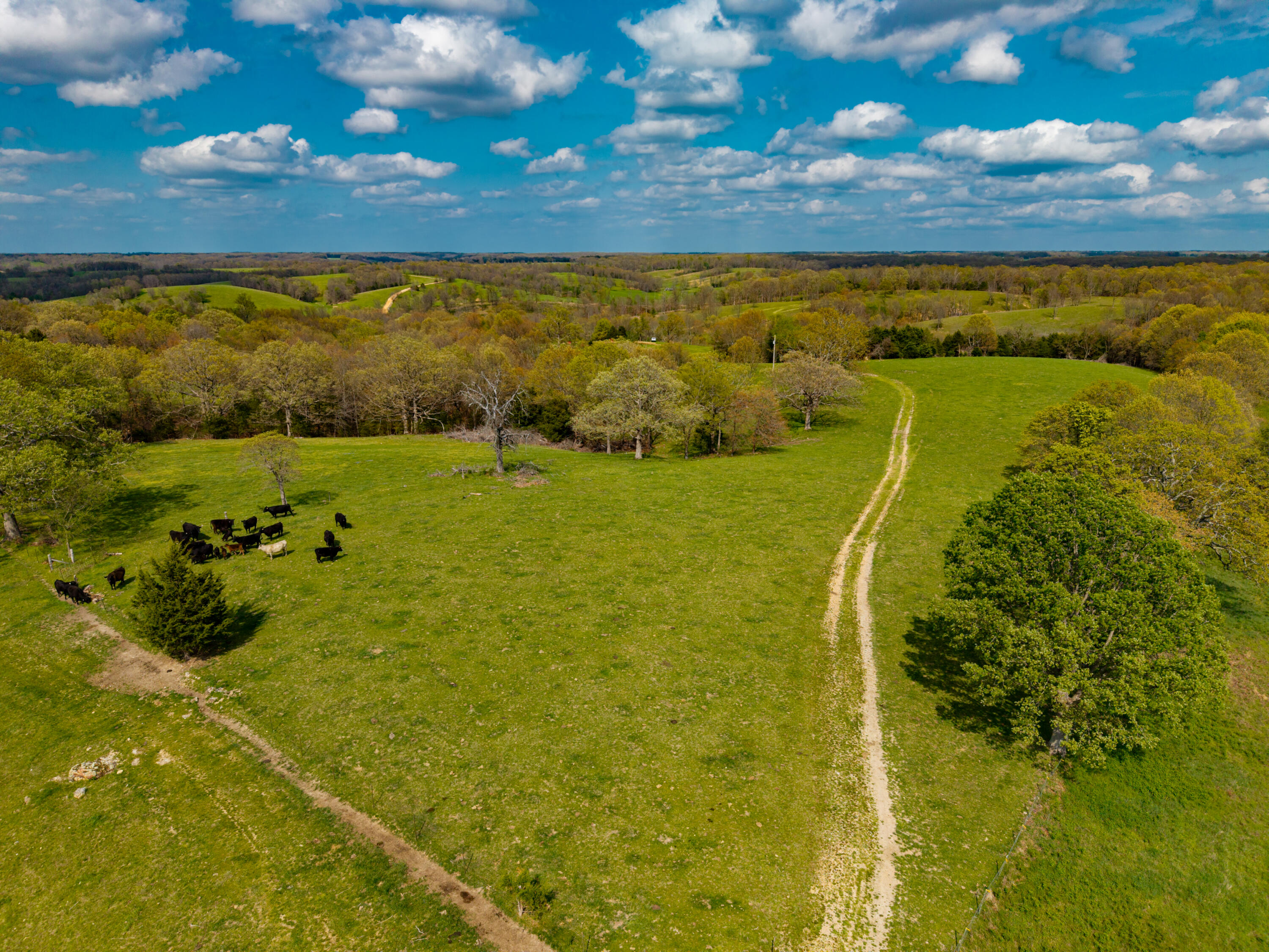 Photo 13 - Land for sale – 382  Iorg Lane  Sparta, MO