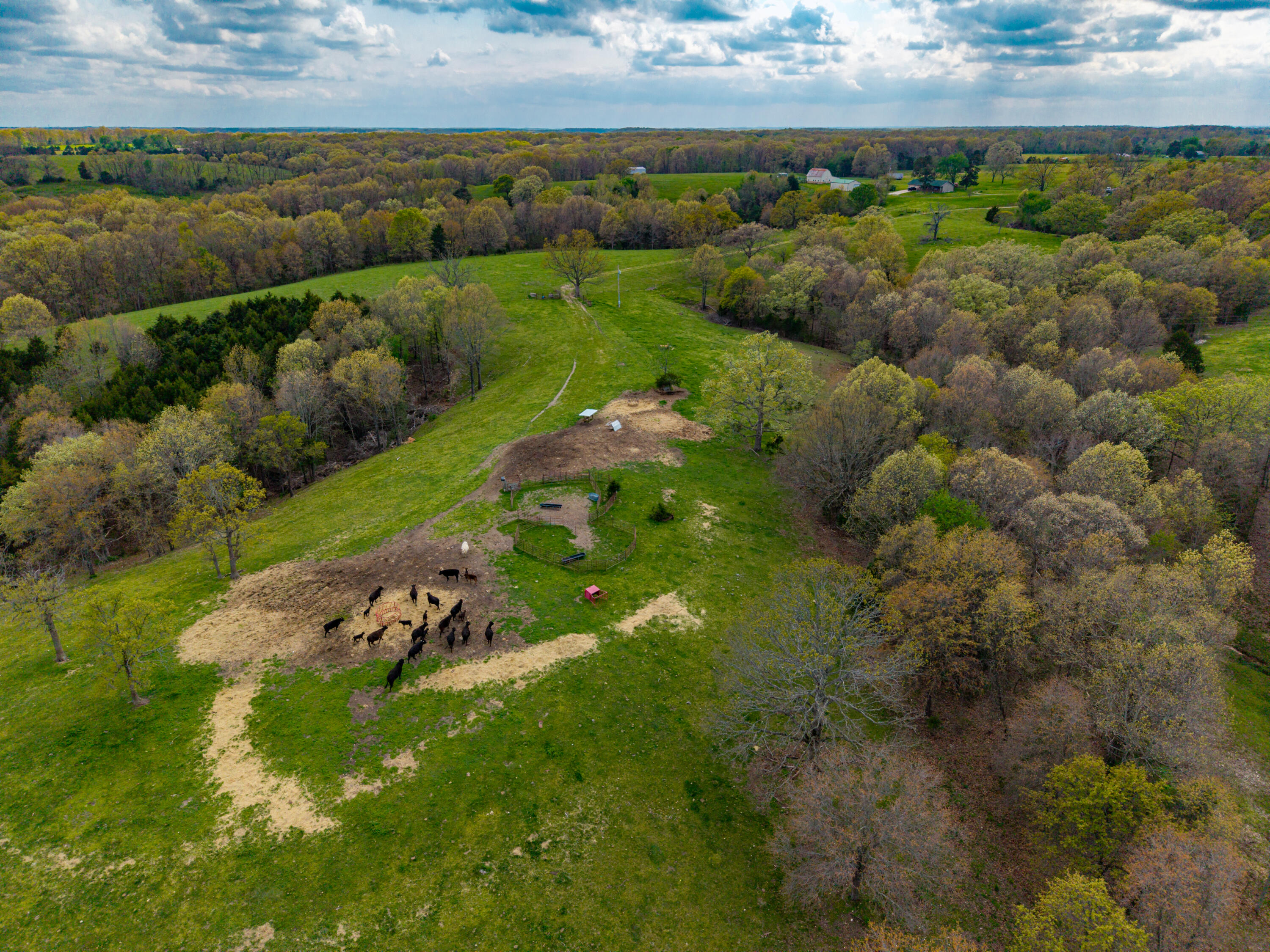 Photo 10 - Land for sale – 382  Iorg Lane  Sparta, MO