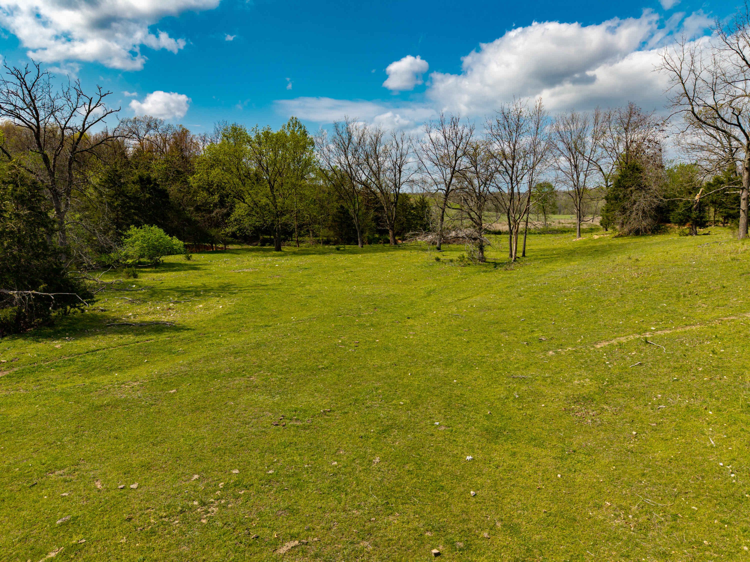 Photo 23 - Land for sale – 382  Iorg Lane  Sparta, MO