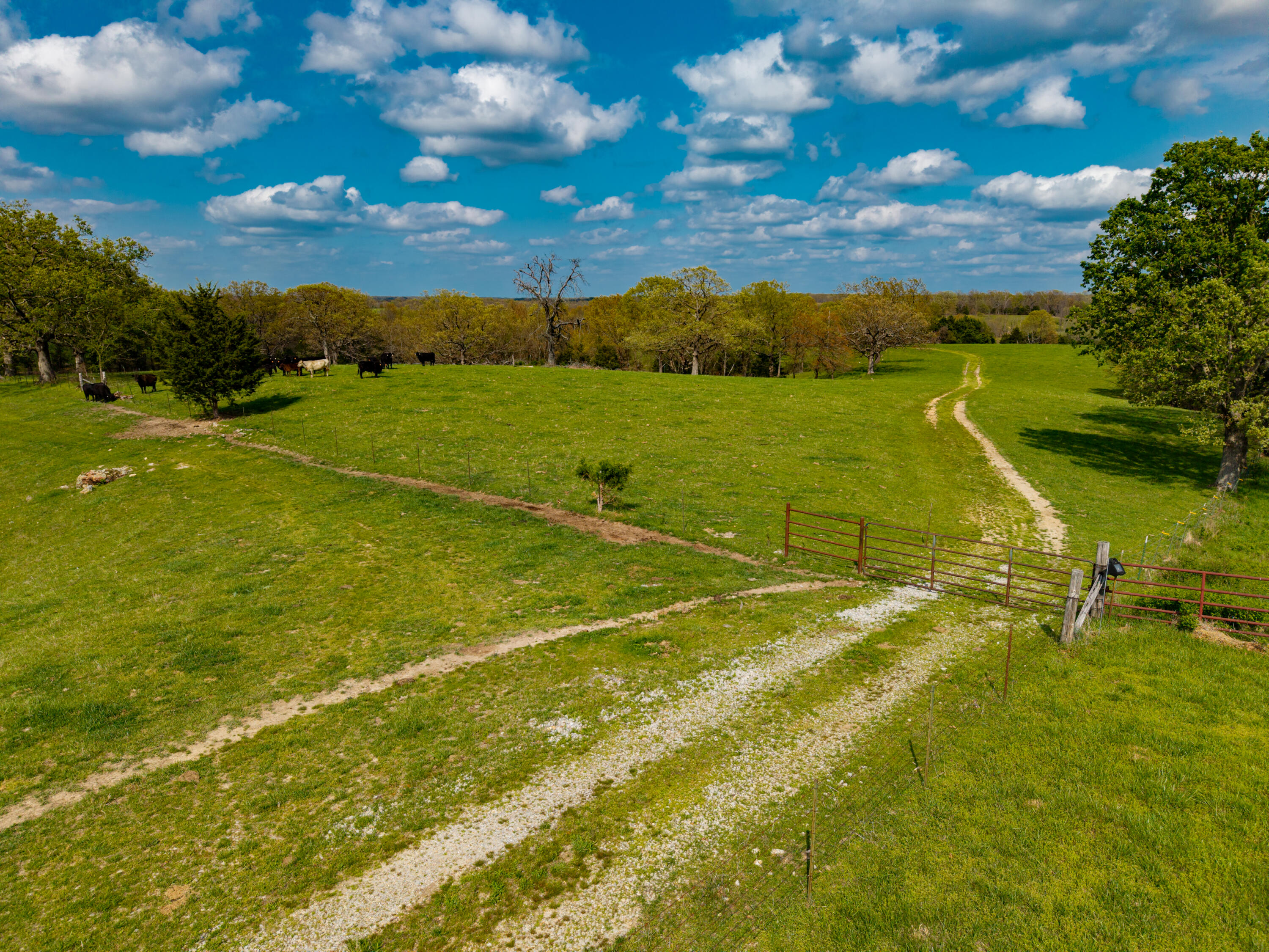 Photo 6 - Land for sale – 382  Iorg Lane  Sparta, MO