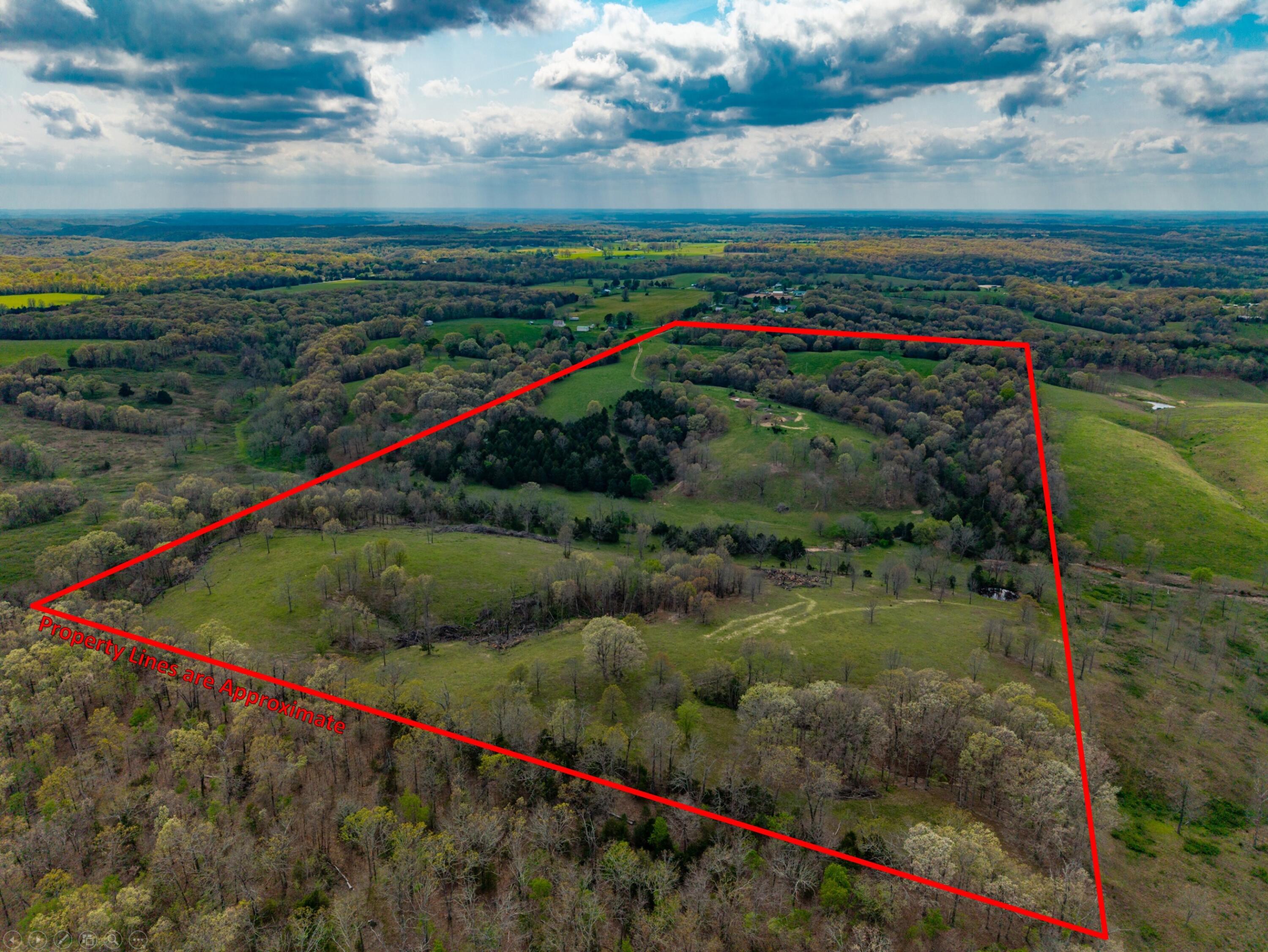 Photo 28 - Land for sale – 382  Iorg Lane  Sparta, MO