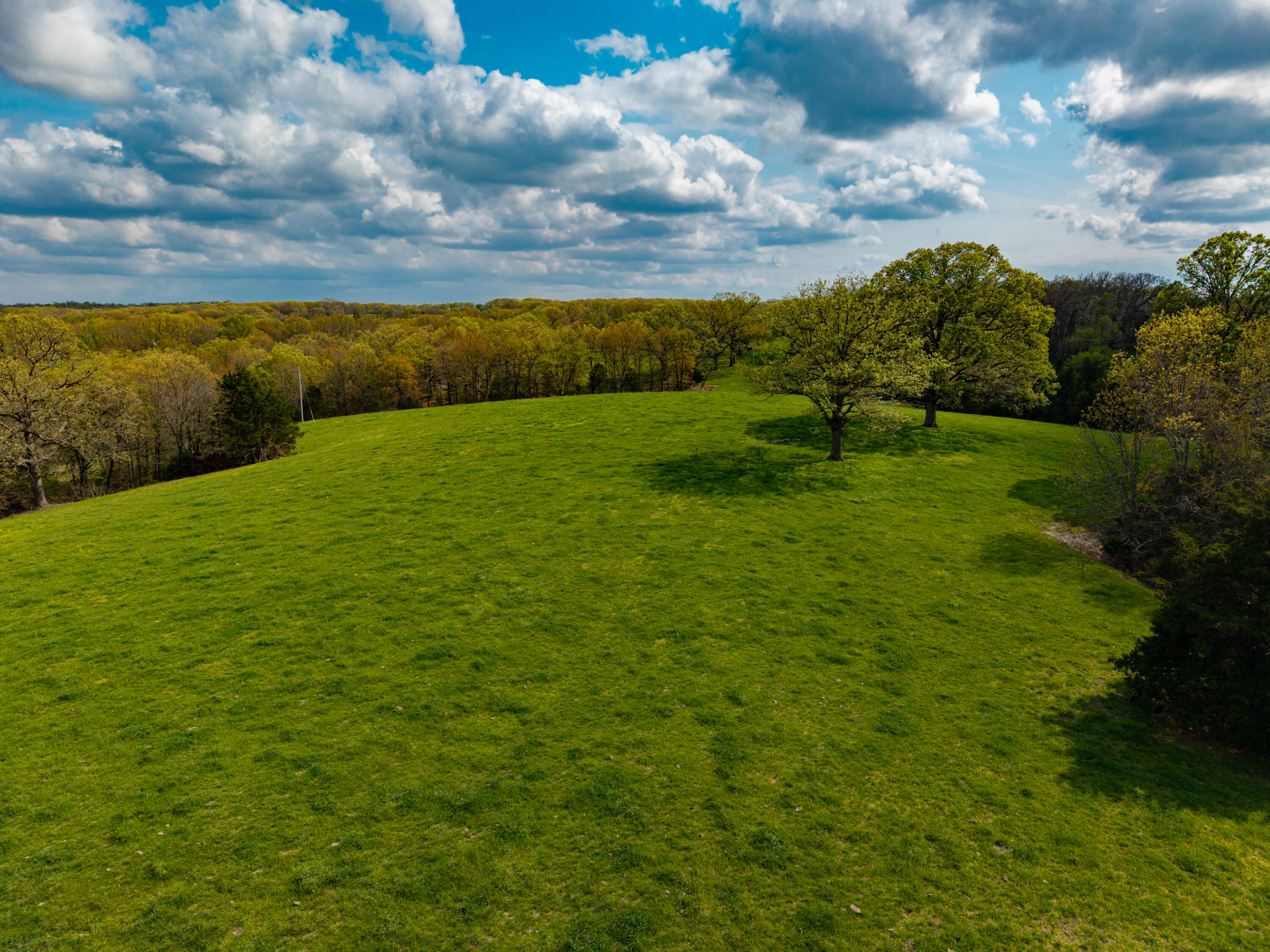 Land for sale – 382  Iorg Lane  Sparta, MO