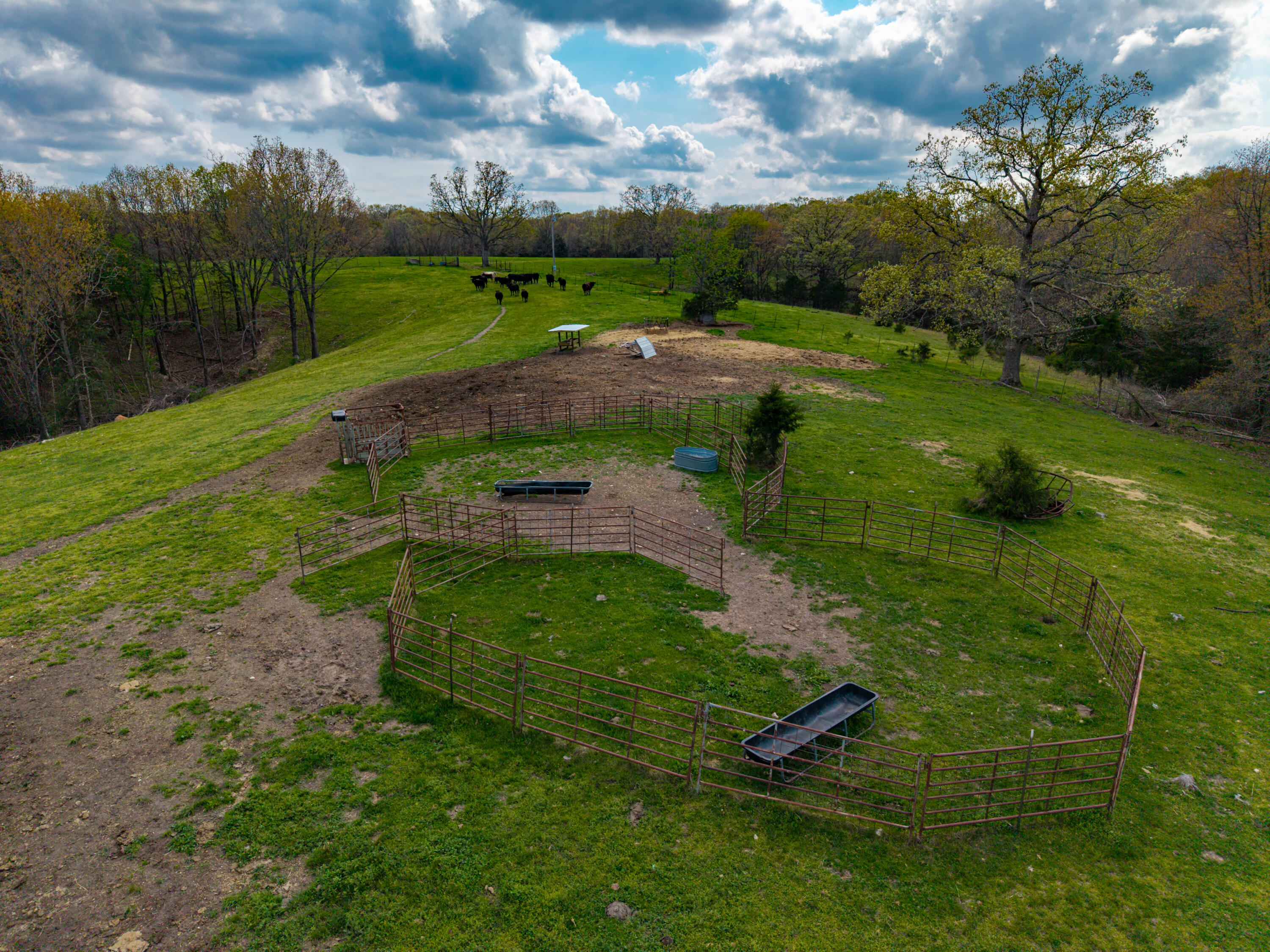 Photo 5 - Land for sale – 382  Iorg Lane  Sparta, MO