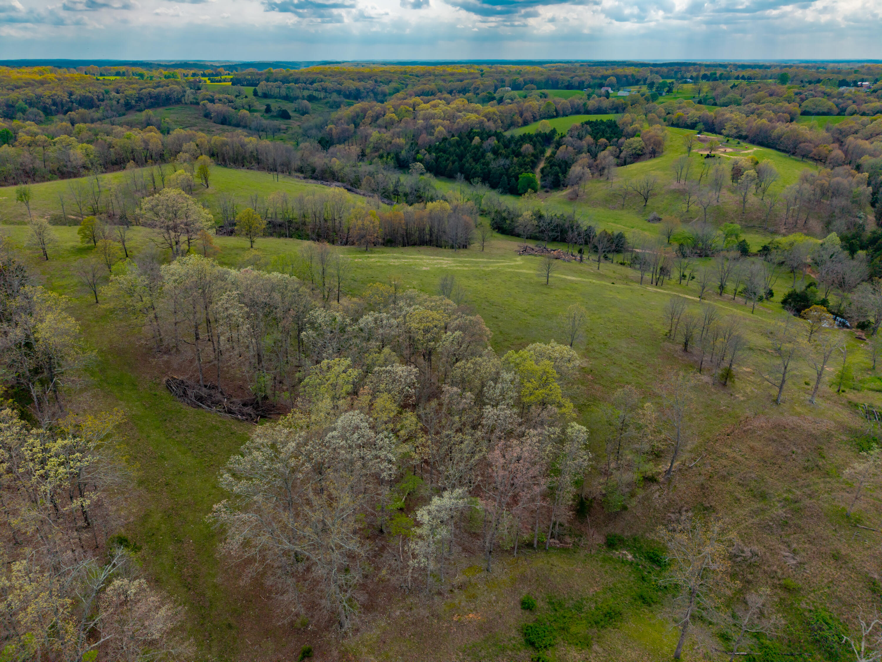 Photo 27 - Land for sale – 382  Iorg Lane  Sparta, MO
