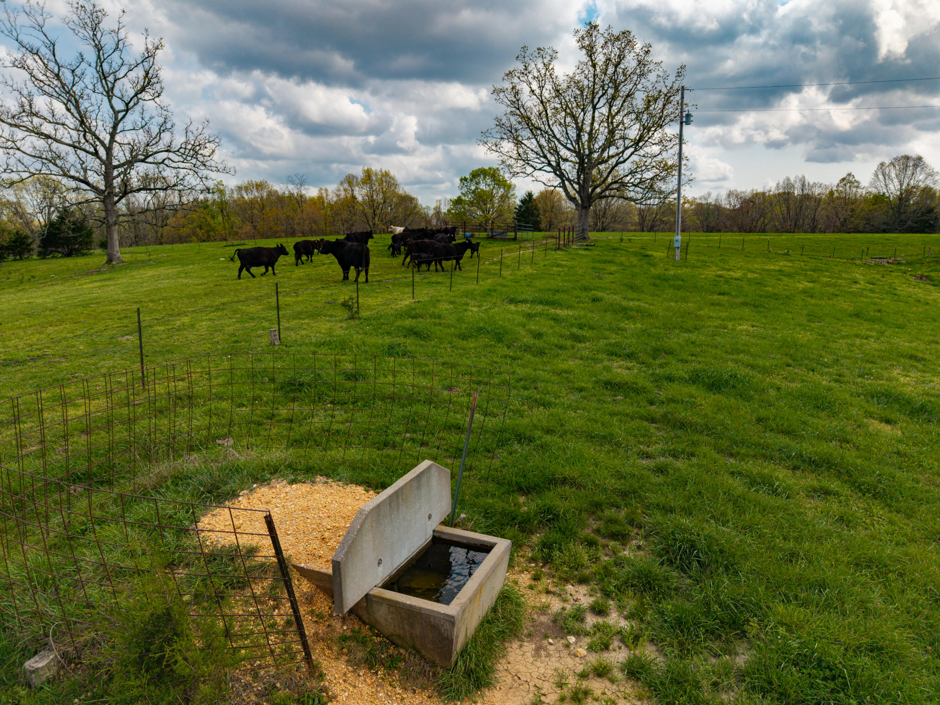 Photo 3 - Land for sale – 382  Iorg Lane  Sparta, MO
