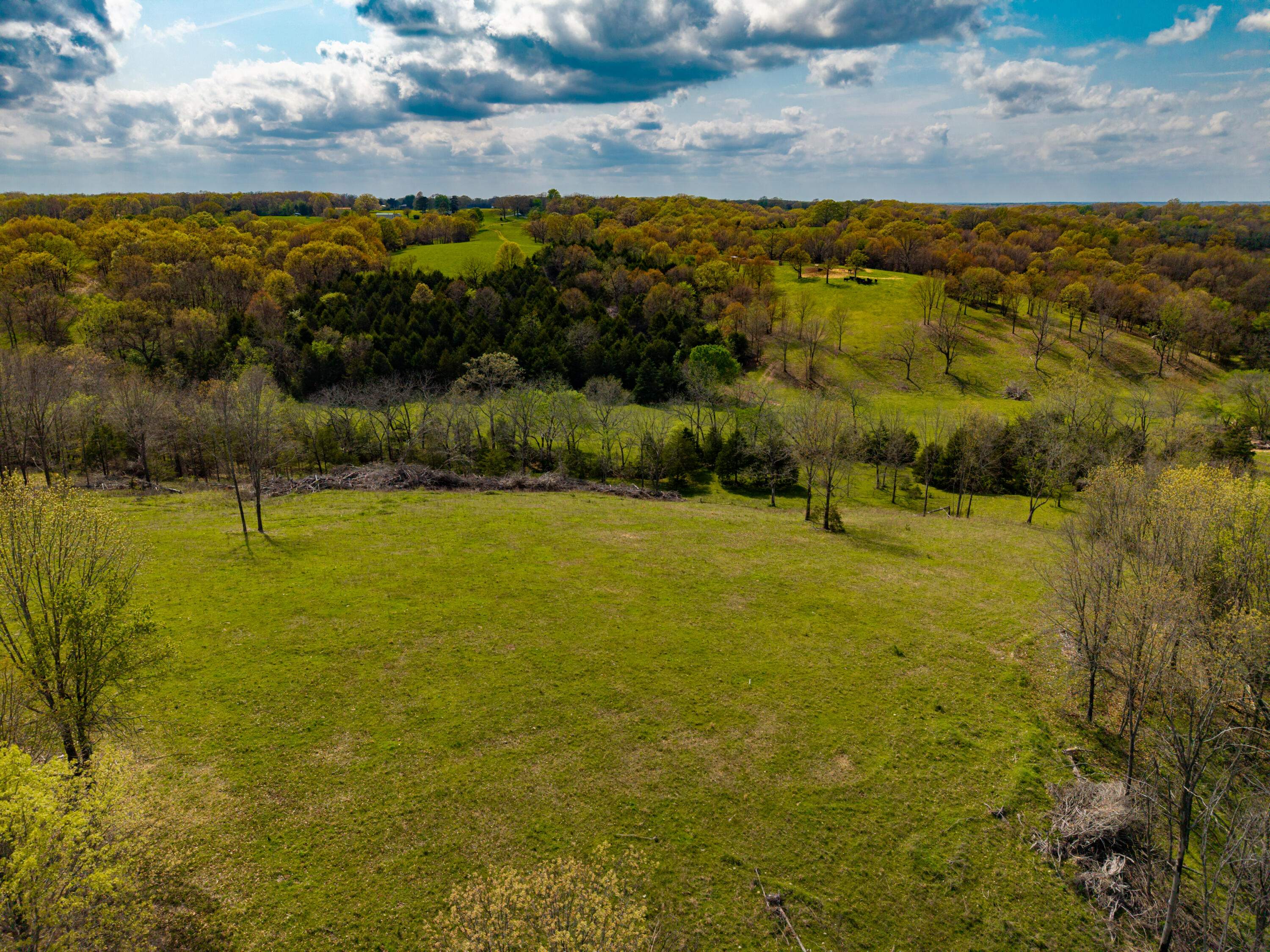 Photo 25 - Land for sale – 382  Iorg Lane  Sparta, MO