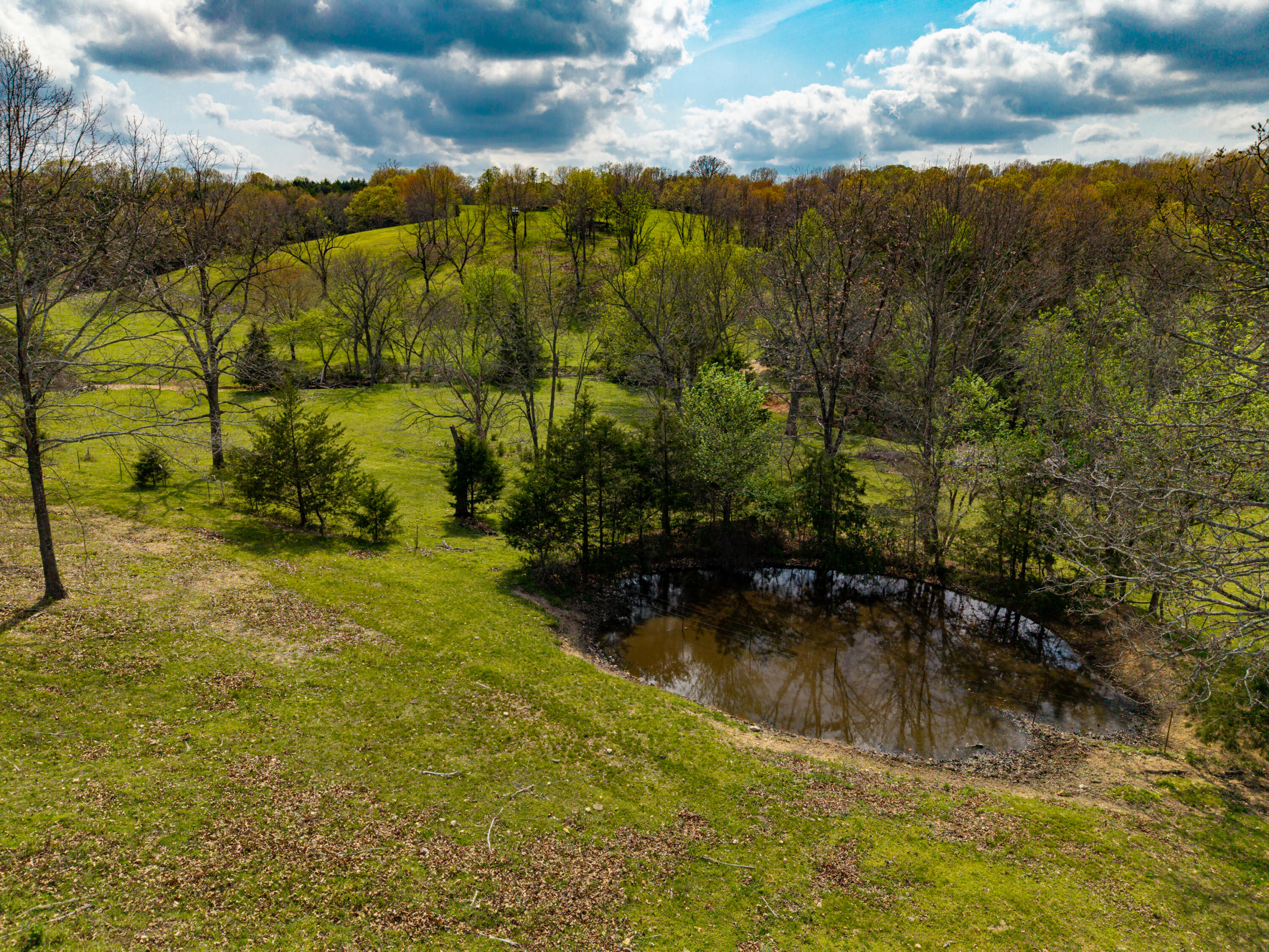 Photo 7 - Land for sale – 382  Iorg Lane  Sparta, MO