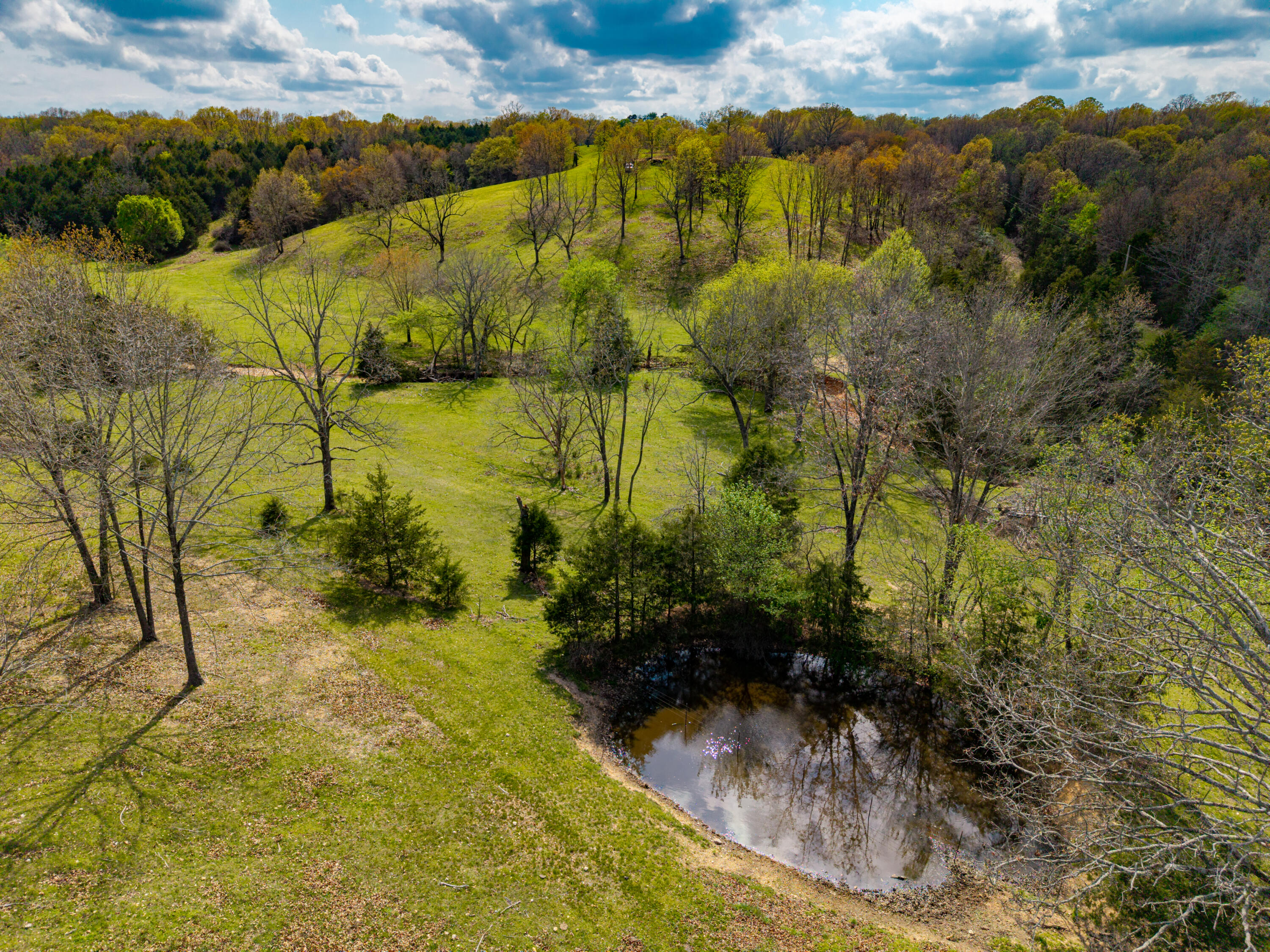 Photo 21 - Land for sale – 382  Iorg Lane  Sparta, MO