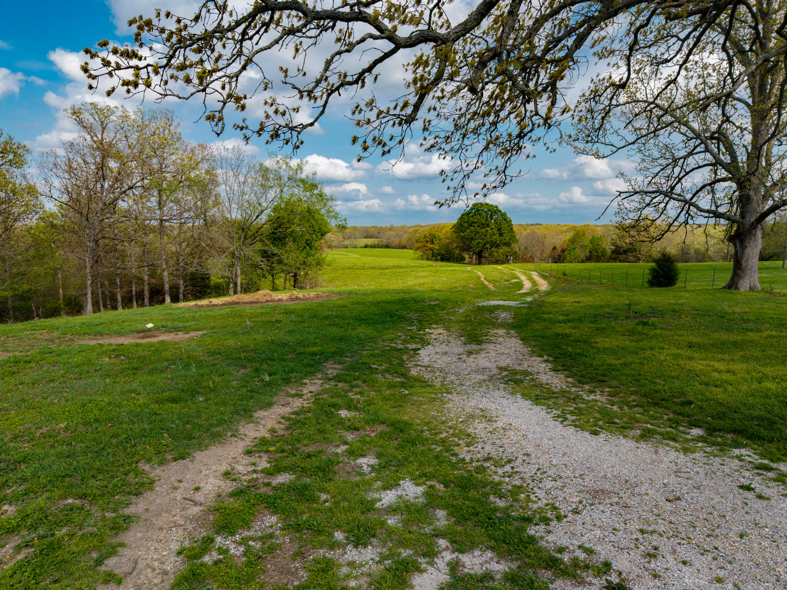 Photo 14 - Land for sale – 382  Iorg Lane  Sparta, MO