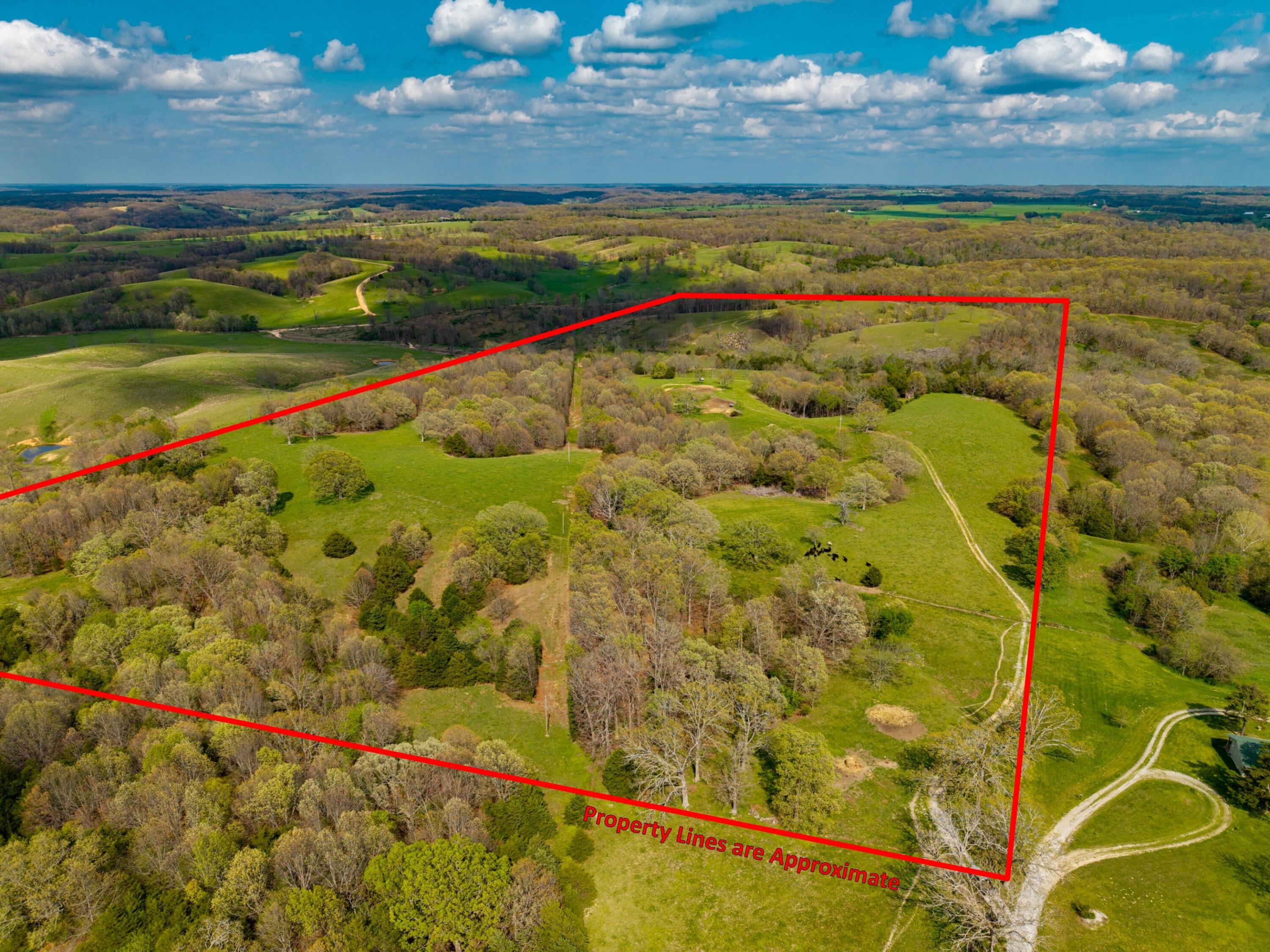 Photo 18 - Land for sale – 382  Iorg Lane  Sparta, MO