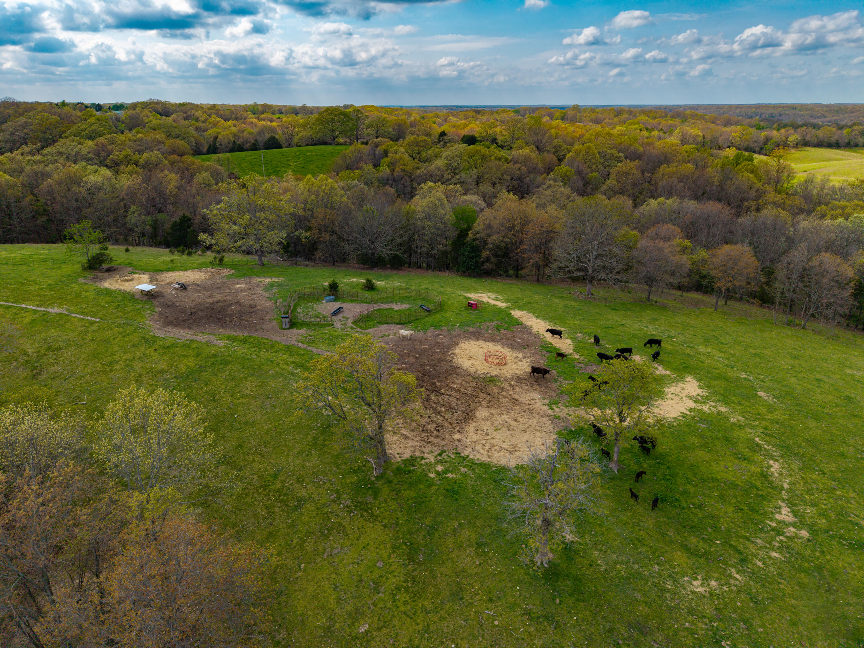 Photo 20 - Land for sale – 382  Iorg Lane  Sparta, MO