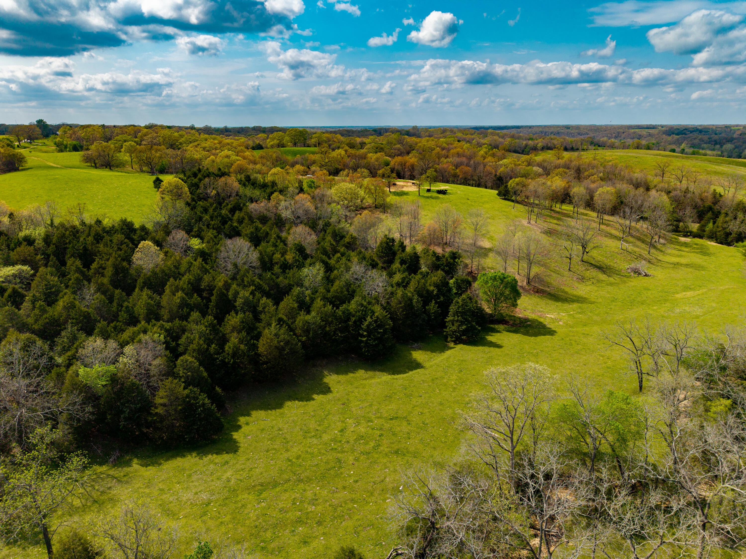 Photo 11 - Land for sale – 382  Iorg Lane  Sparta, MO