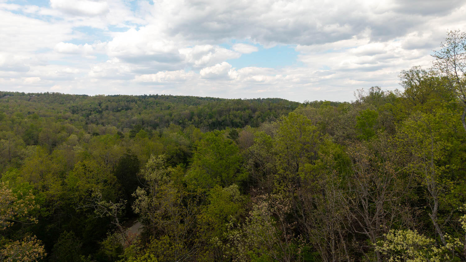 Photo 9 - Land for sale – 000  Fife Lane  Mountain Home, AR