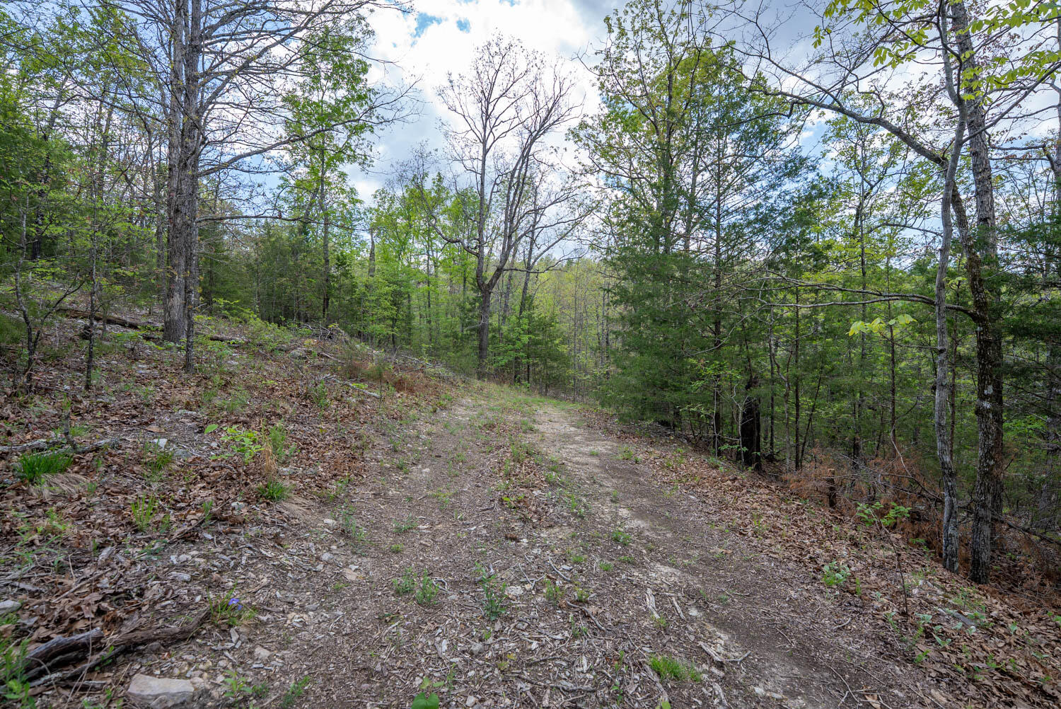 Photo 19 - Land for sale – 000  Fife Lane  Mountain Home, AR