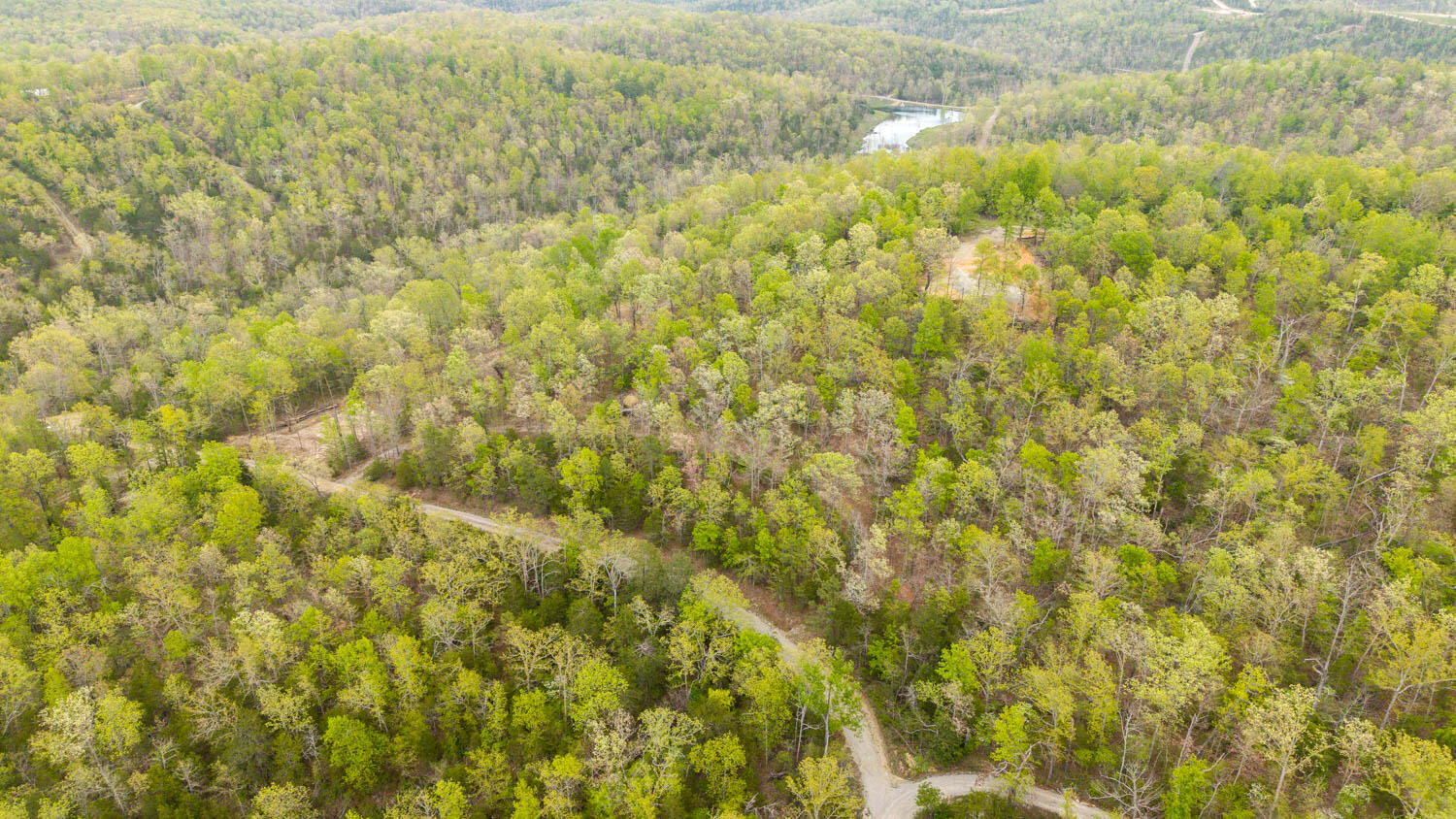 Photo 6 - Land for sale – 000  Fife Lane  Mountain Home, AR