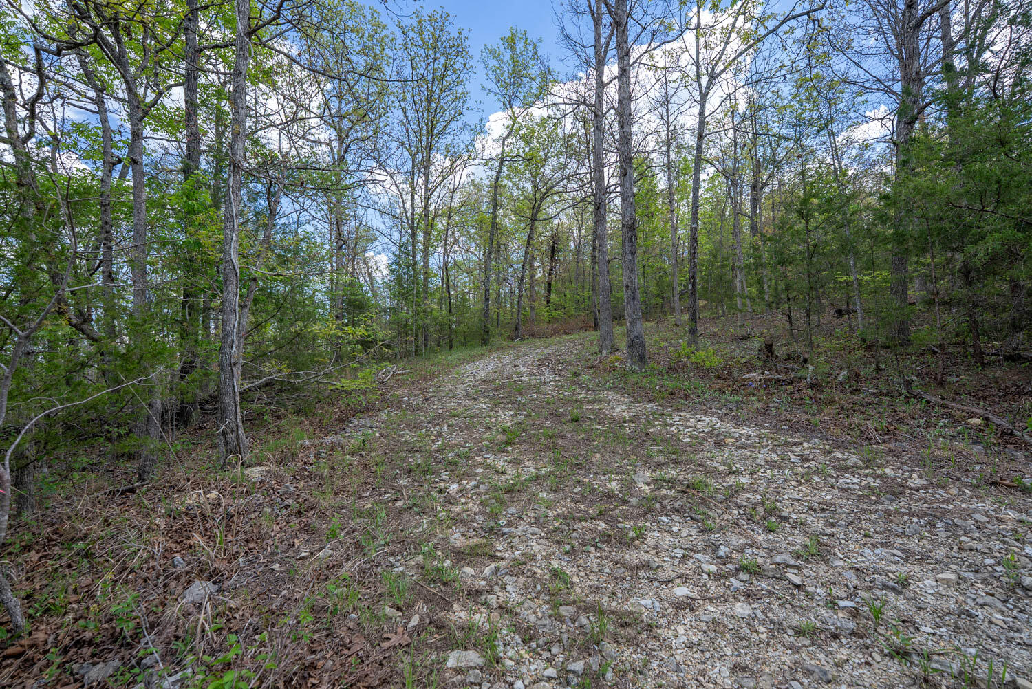 Photo 20 - Land for sale – 000  Fife Lane  Mountain Home, AR