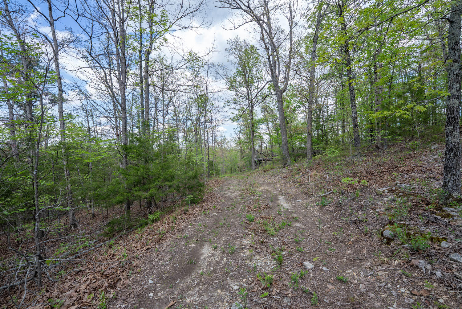 Photo 18 - Land for sale – 000  Fife Lane  Mountain Home, AR