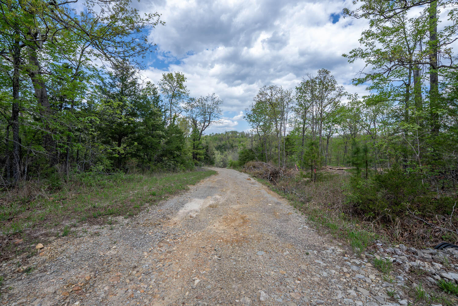Photo 21 - Land for sale – 000  Fife Lane  Mountain Home, AR