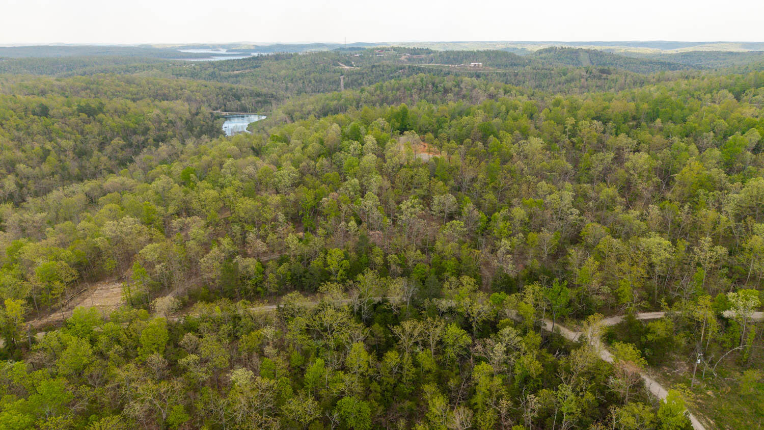 Photo 5 - Land for sale – 000  Fife Lane  Mountain Home, AR