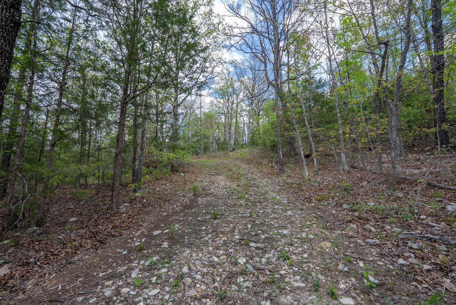 Photo 15 - Land for sale – 000  Fife Lane  Mountain Home, AR