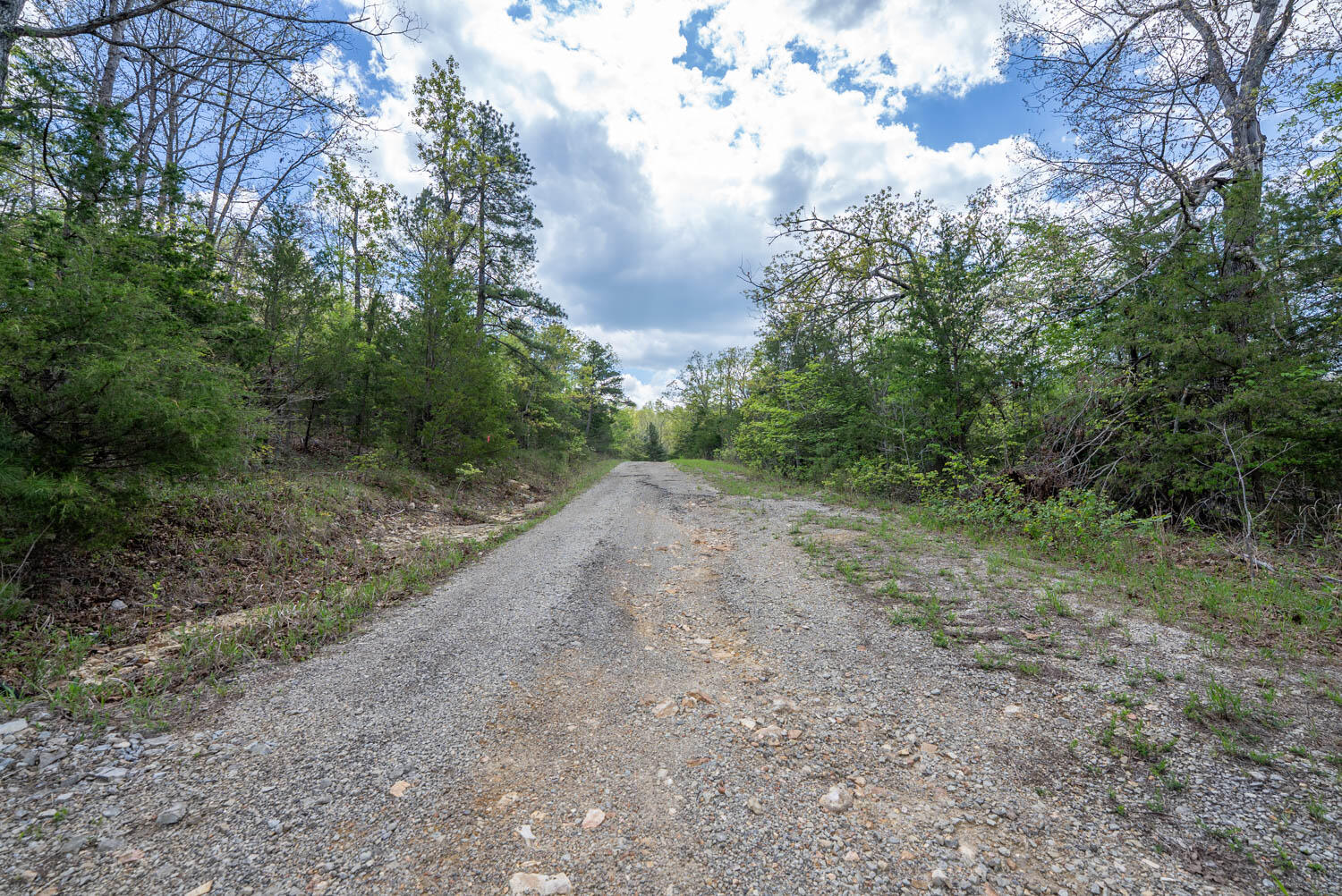 Photo 22 - Land for sale – 000  Fife Lane  Mountain Home, AR