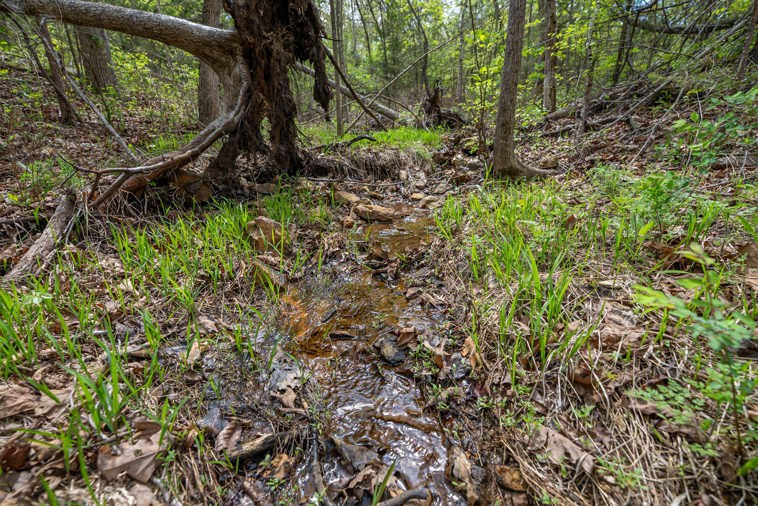 Photo 11 - Land for sale – 000  Fife Lane  Mountain Home, AR