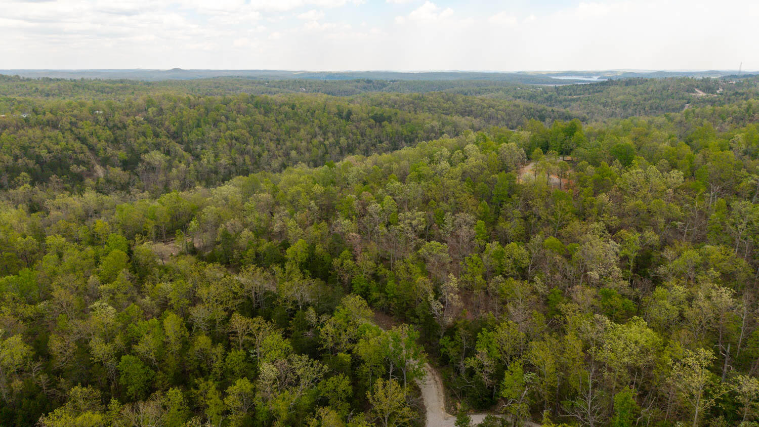 Photo 7 - Land for sale – 000  Fife Lane  Mountain Home, AR