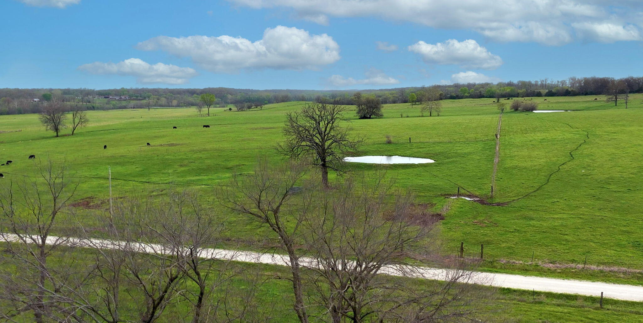 Photo 110 - Farm for sale – 3803 E 225th Road  Halfway, MO