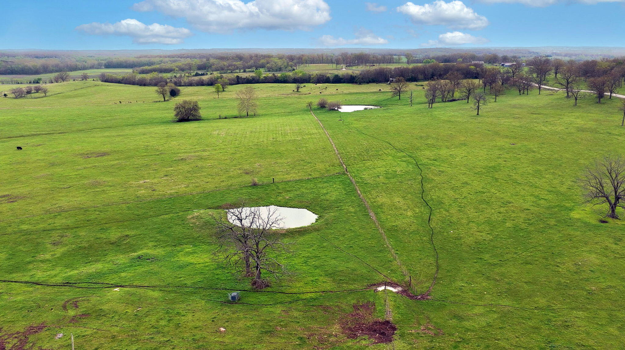 Photo 111 - Farm for sale – 3803 E 225th Road  Halfway, MO