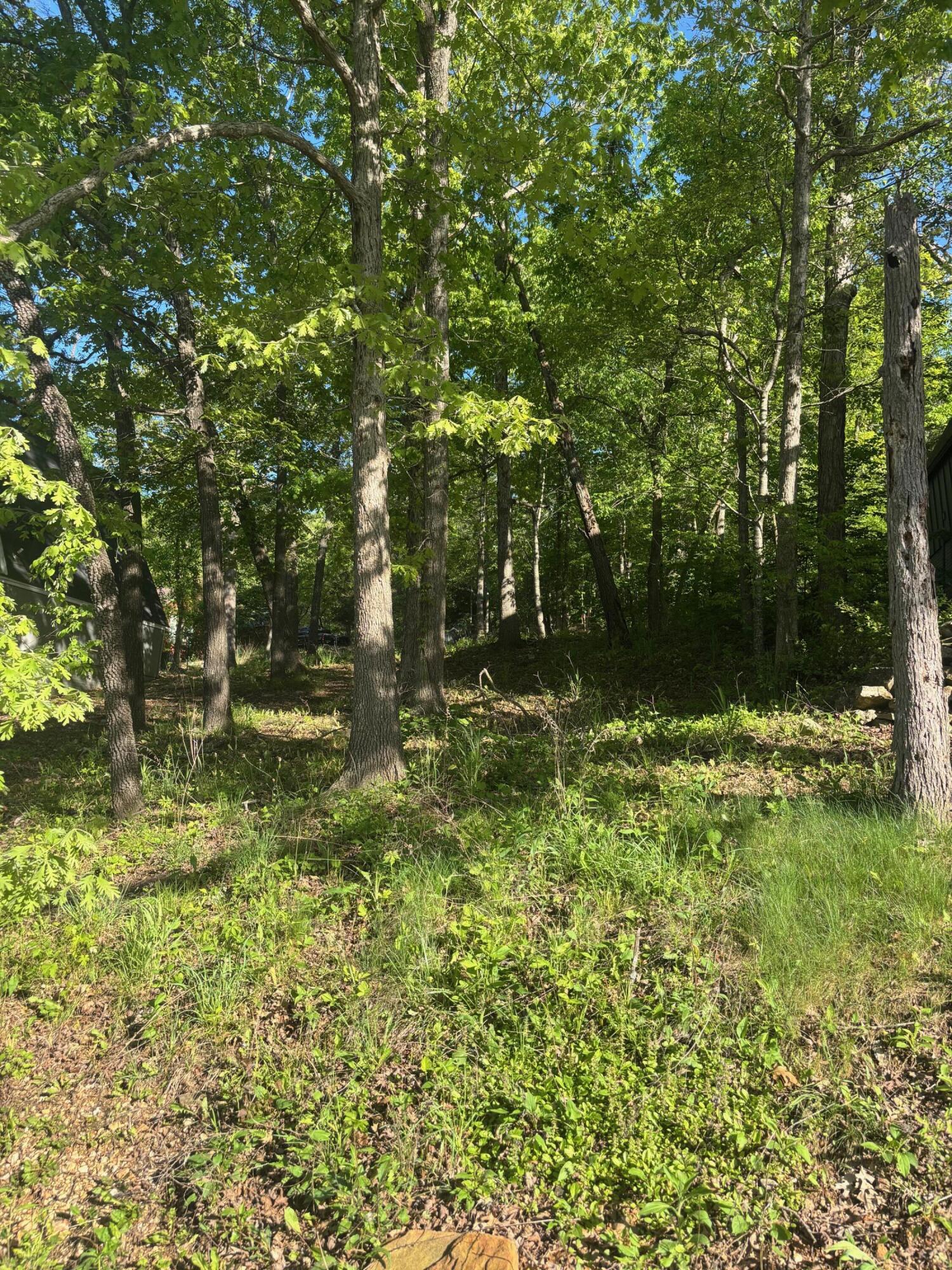 Photo 2 - Land for sale – Tbd  Black Oak Resort Lane  Lampe, MO