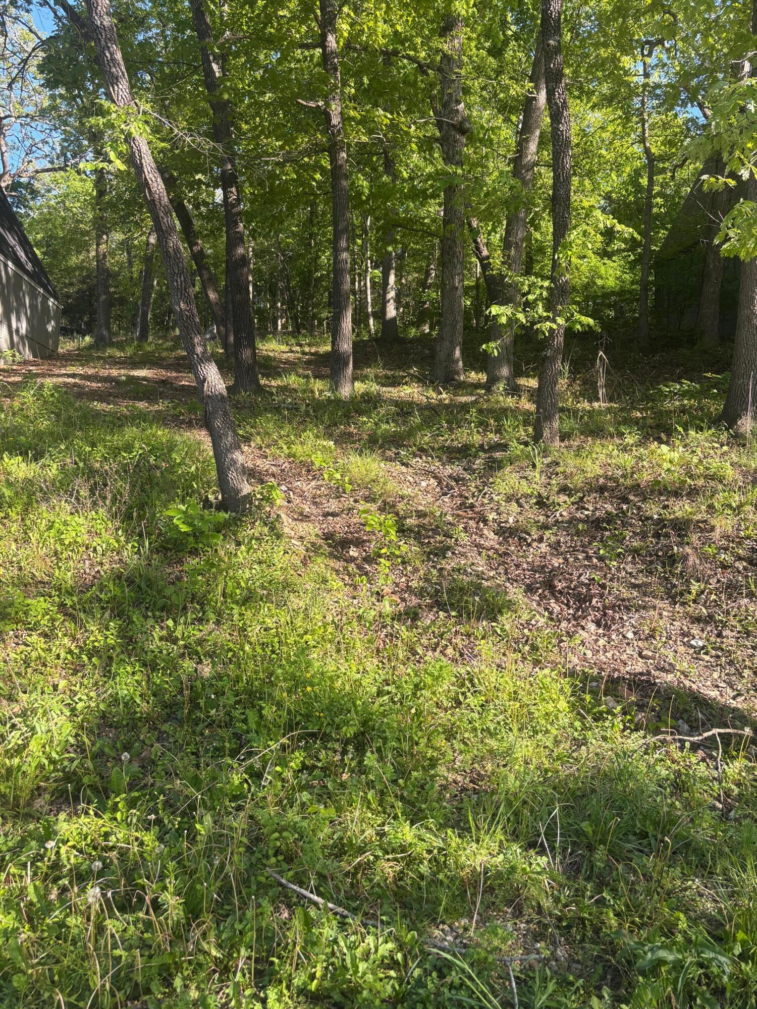 Photo 3 - Land for sale – Tbd  Black Oak Resort Lane  Lampe, MO