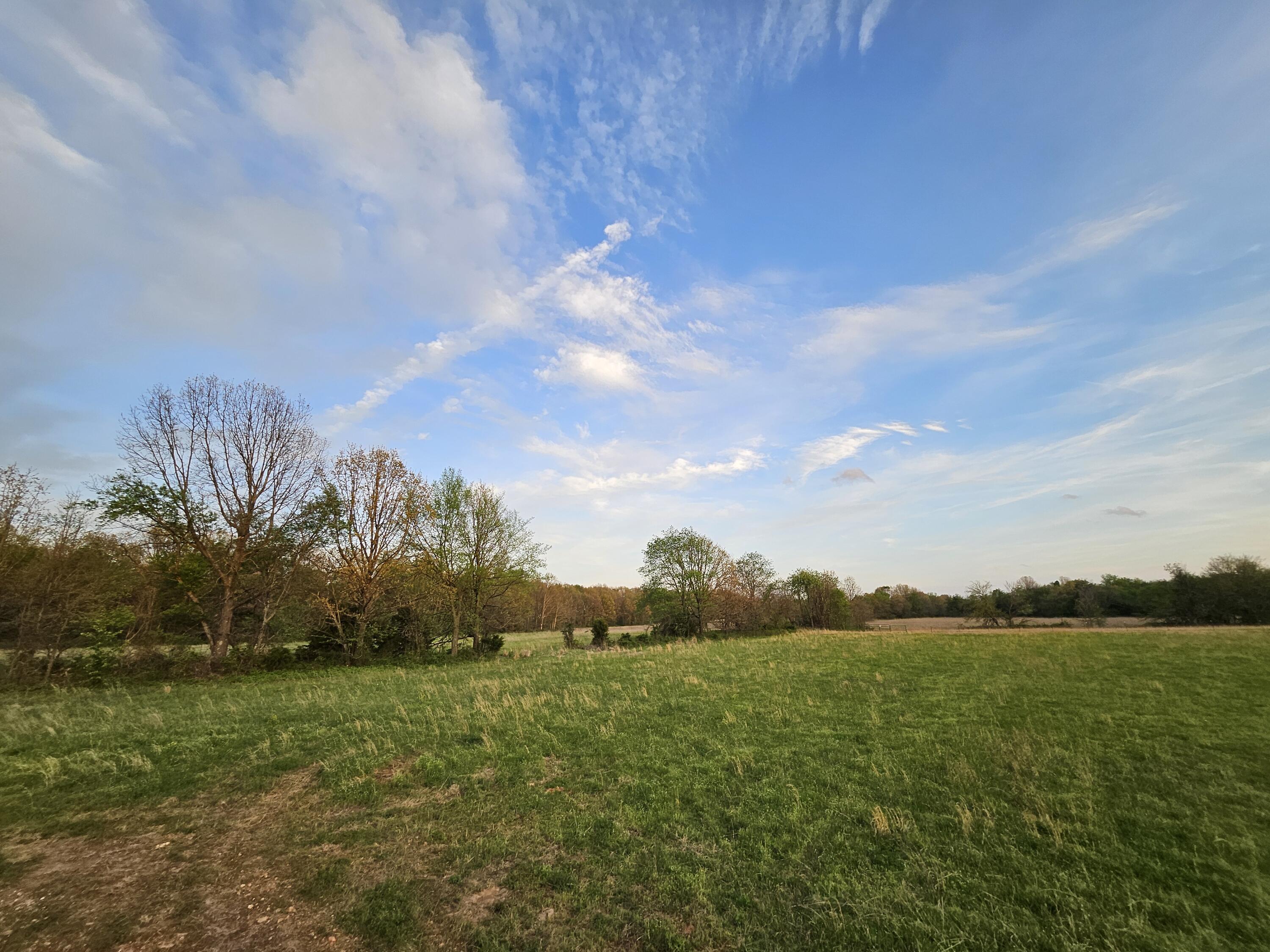Photo 2 - Land for sale – 000  Lawrence 2210   Monett, MO