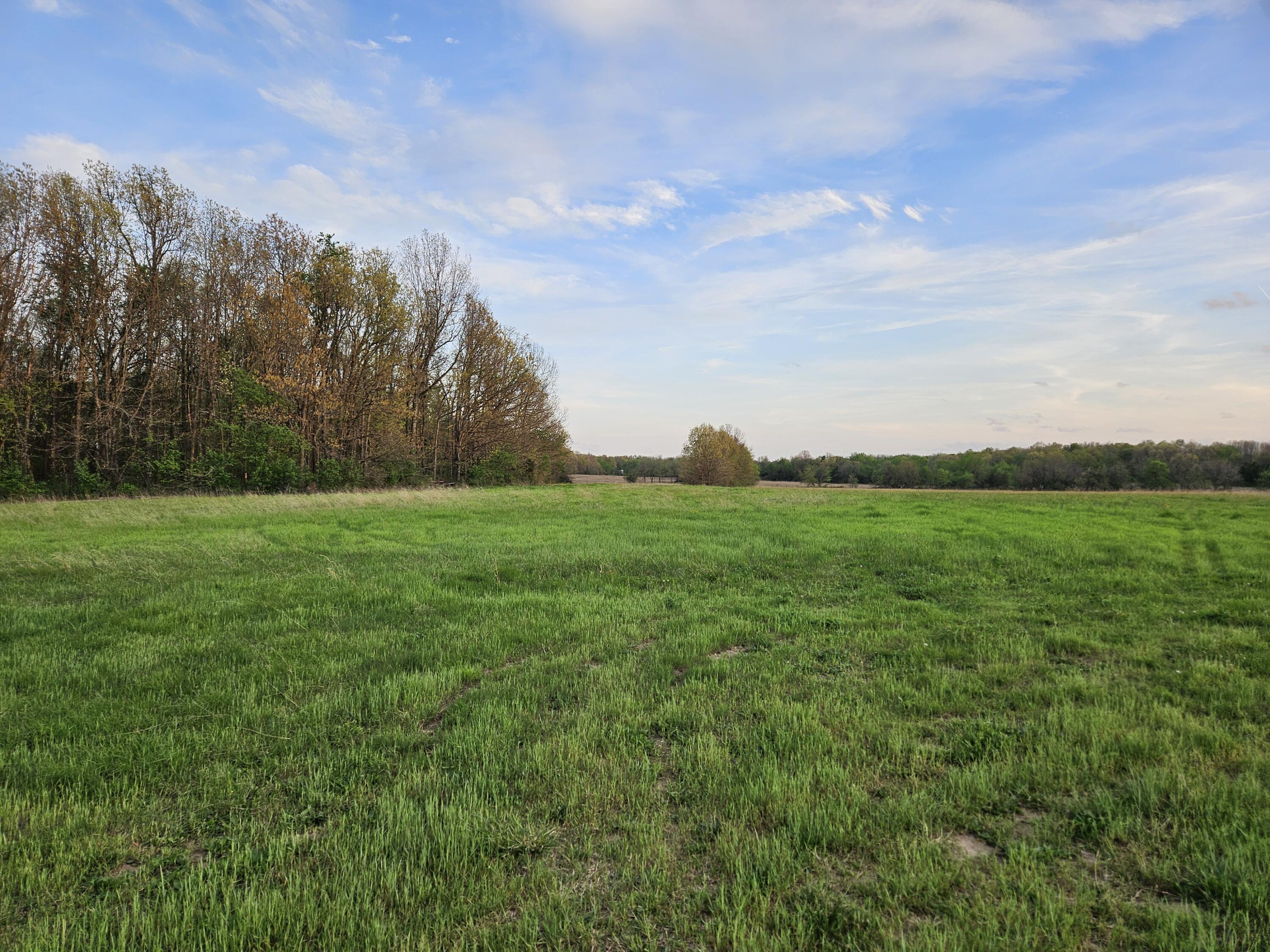 Land for sale – 000  Lawrence 2210   Monett, MO