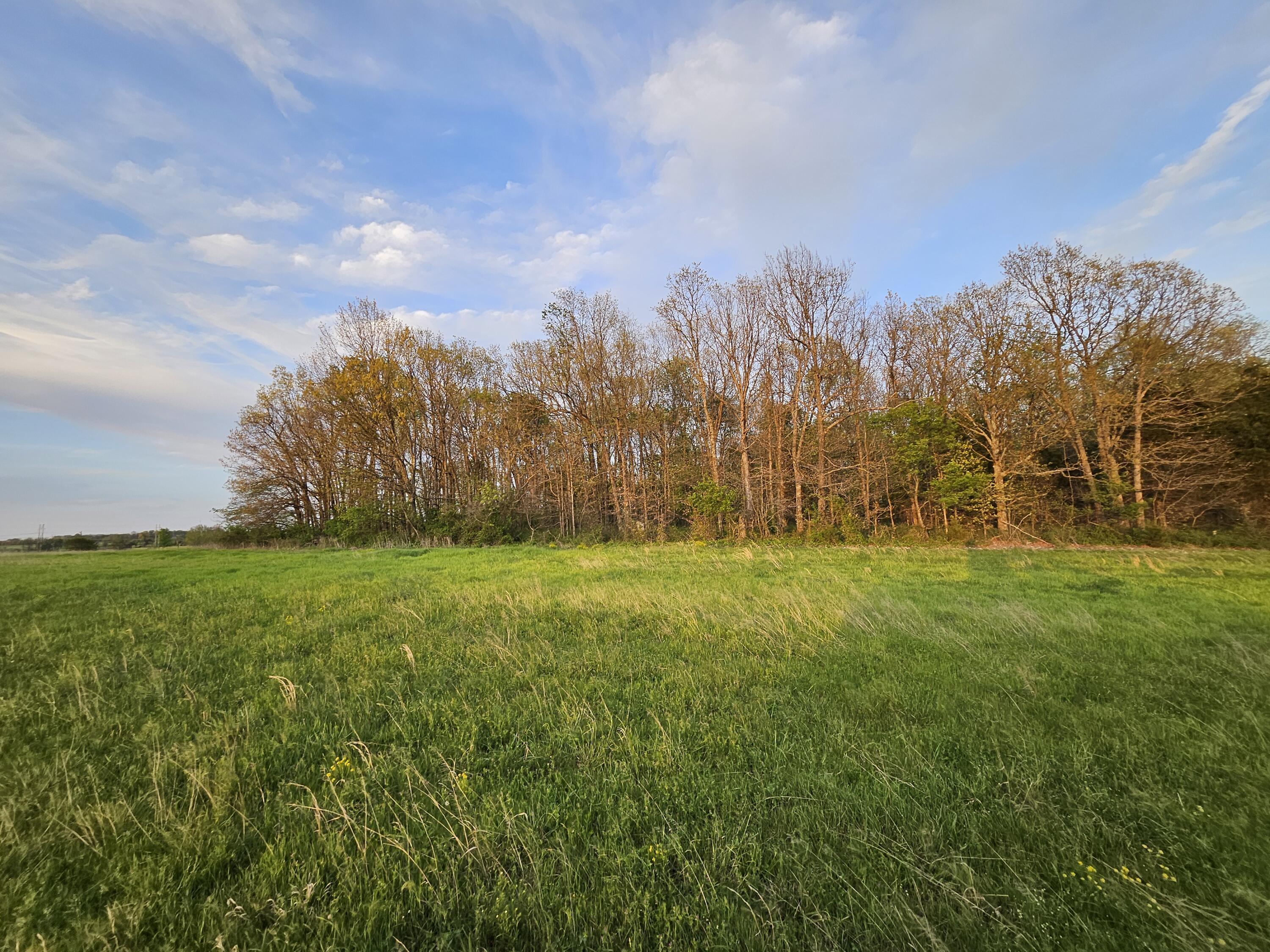 Photo 3 - Land for sale – 000  Lawrence 2210   Monett, MO