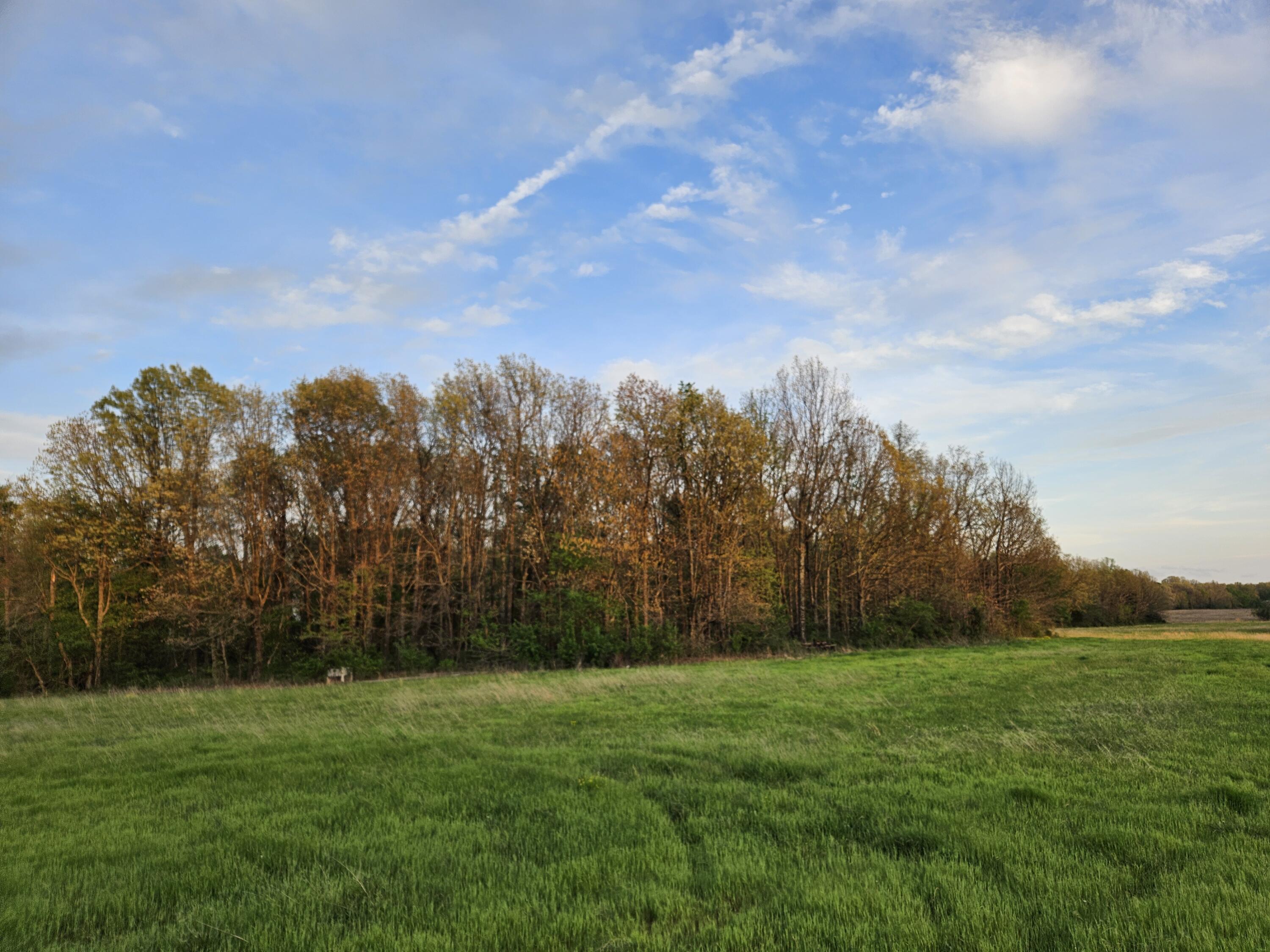 Photo 2 - Land for sale – 000  Lawrence 2210   Monett, MO
