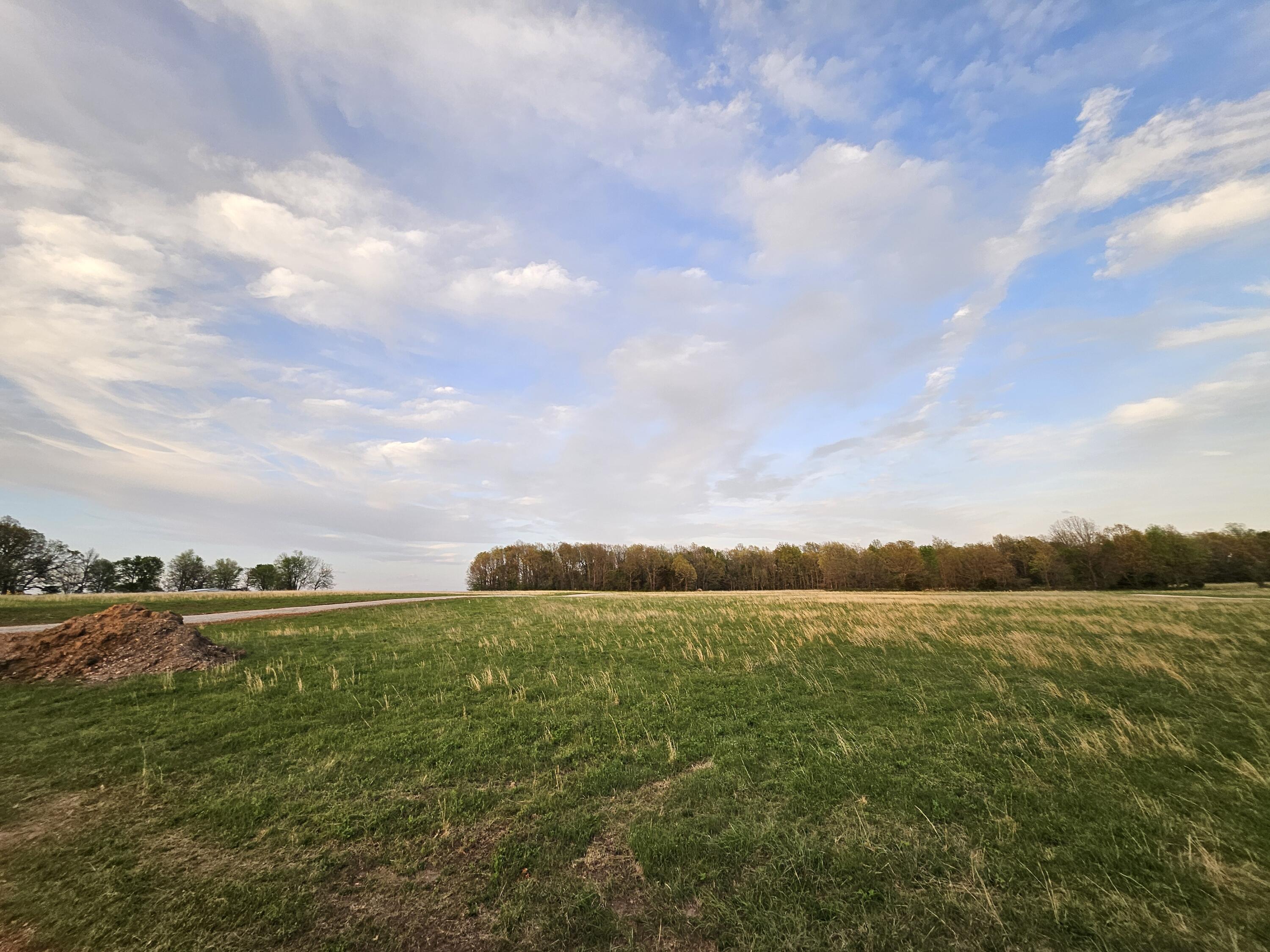Photo 2 - Land for sale – 000  Lawrence 2210   Monett, MO
